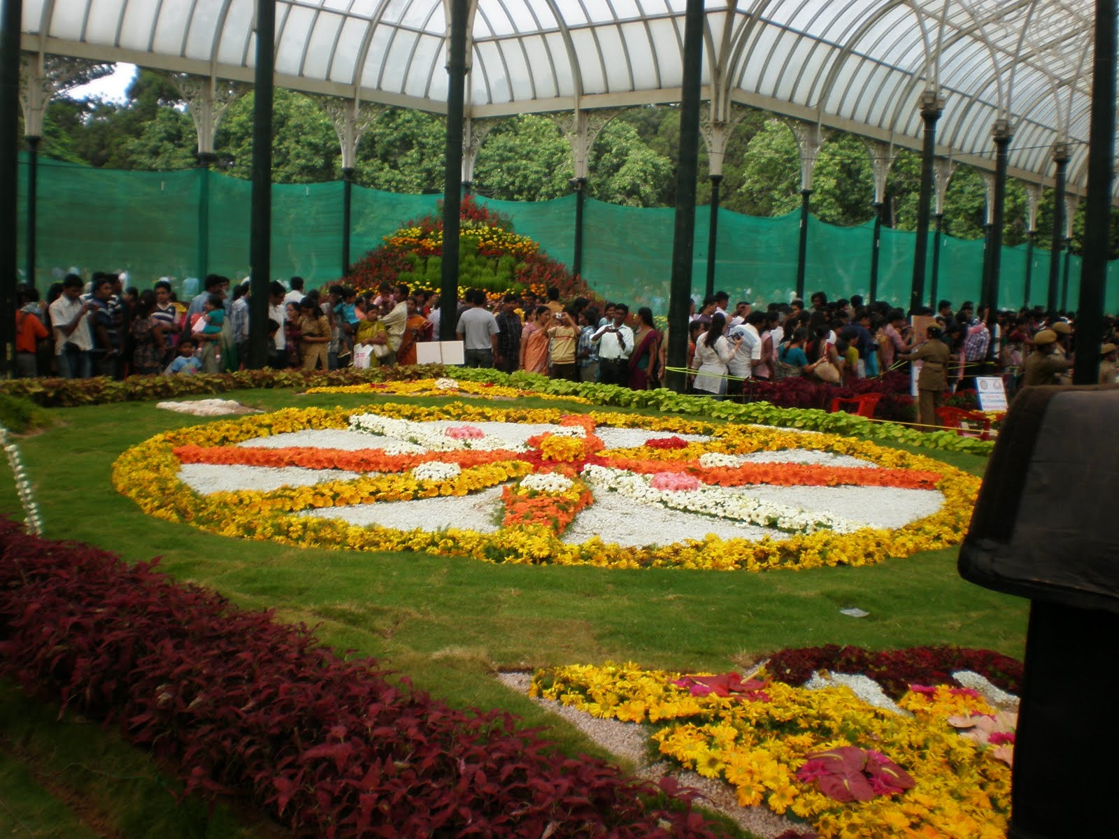 Olympus FE280,X820,C520 sample photo. Flowershow photography