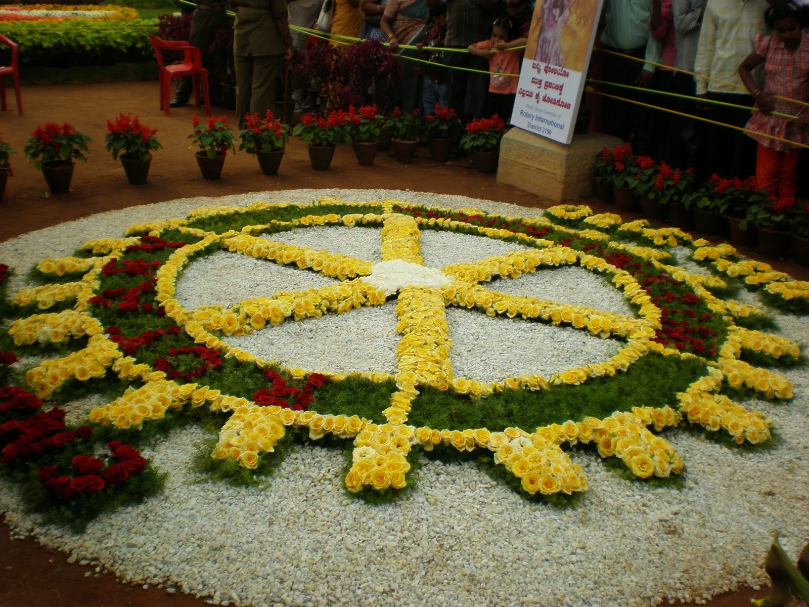 Olympus FE280,X820,C520 sample photo. Flowershow photography