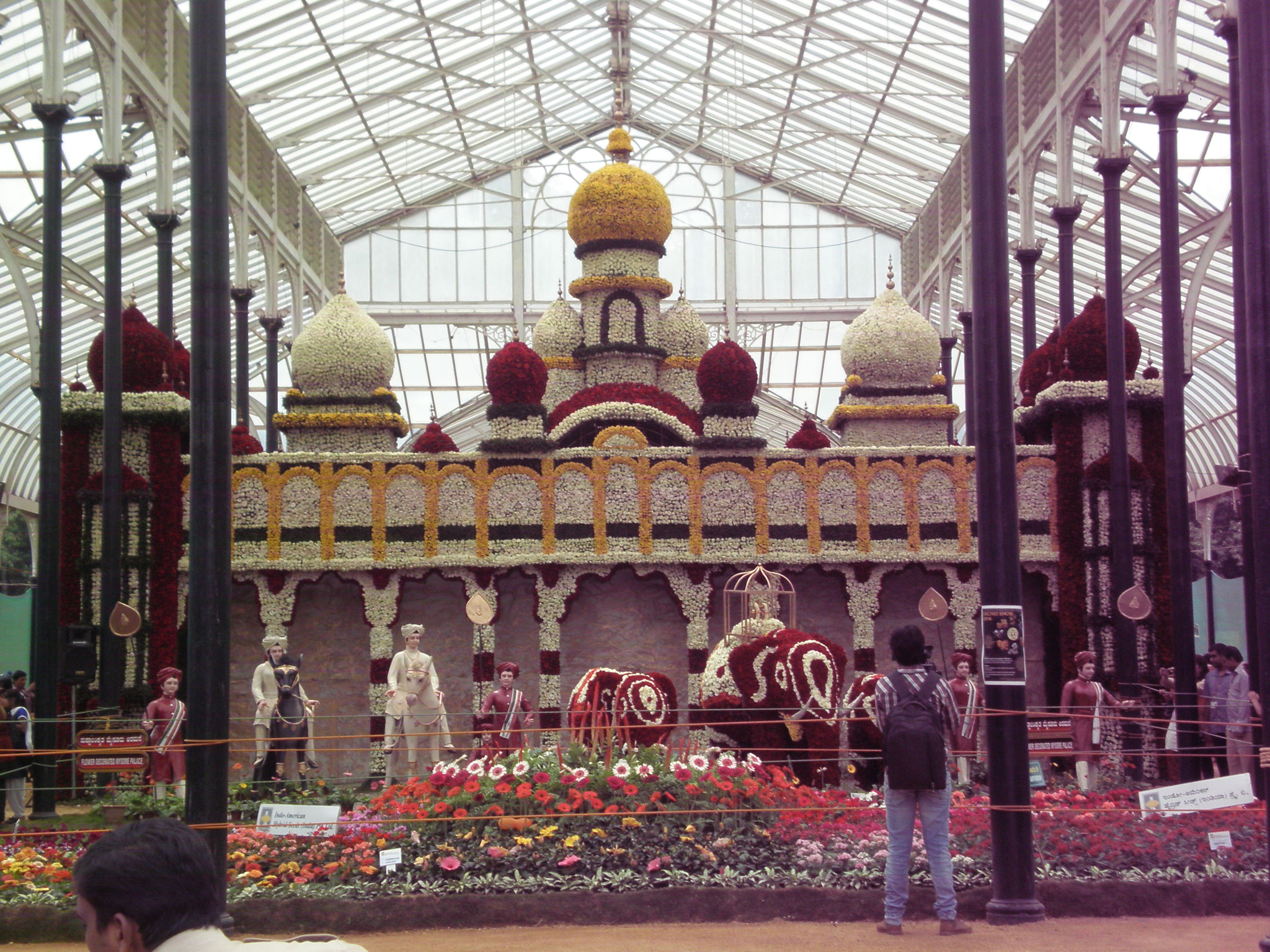 Olympus FE280,X820,C520 sample photo. Flowershow photography