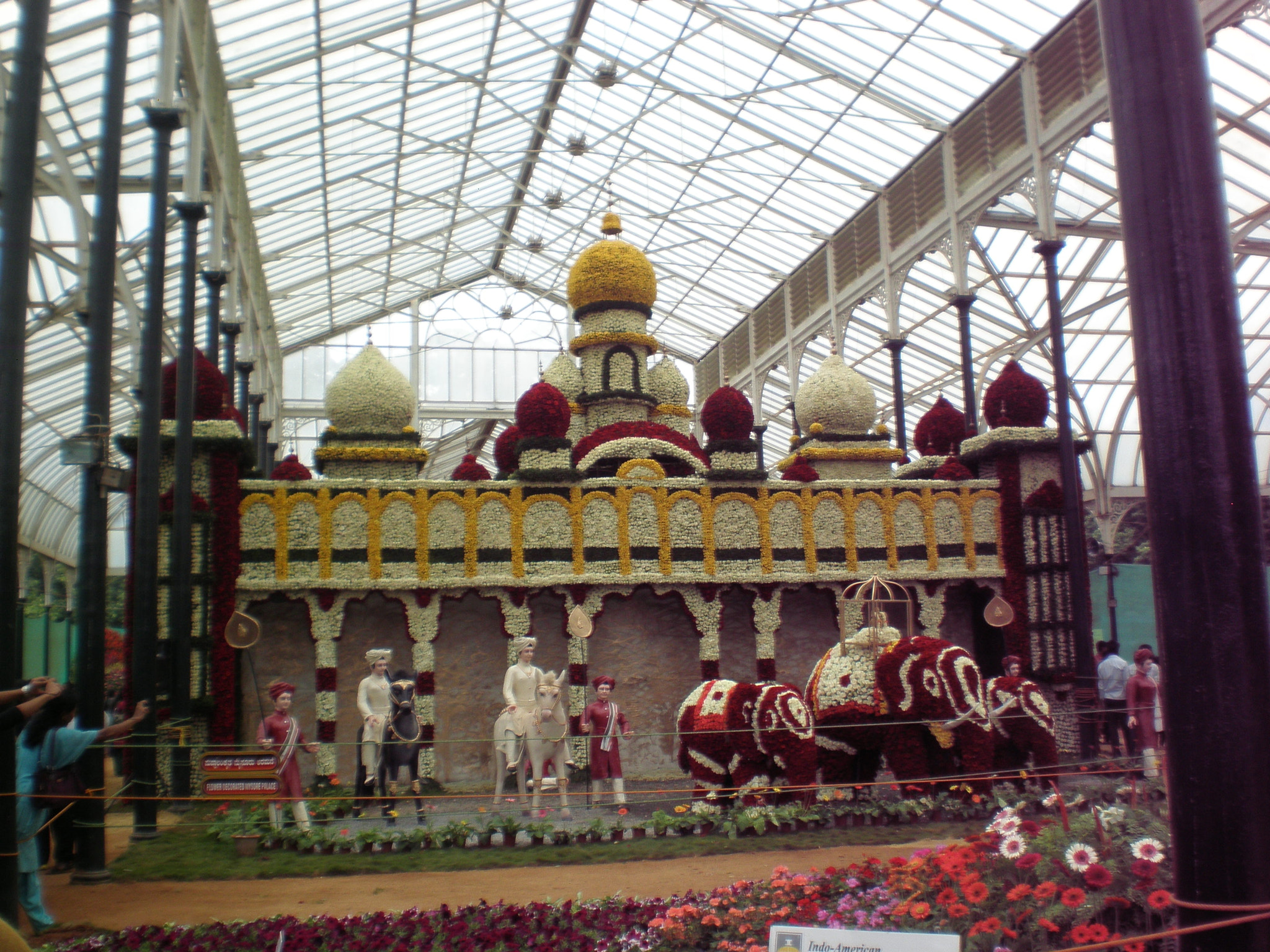 Olympus FE280,X820,C520 sample photo. Flowershow photography