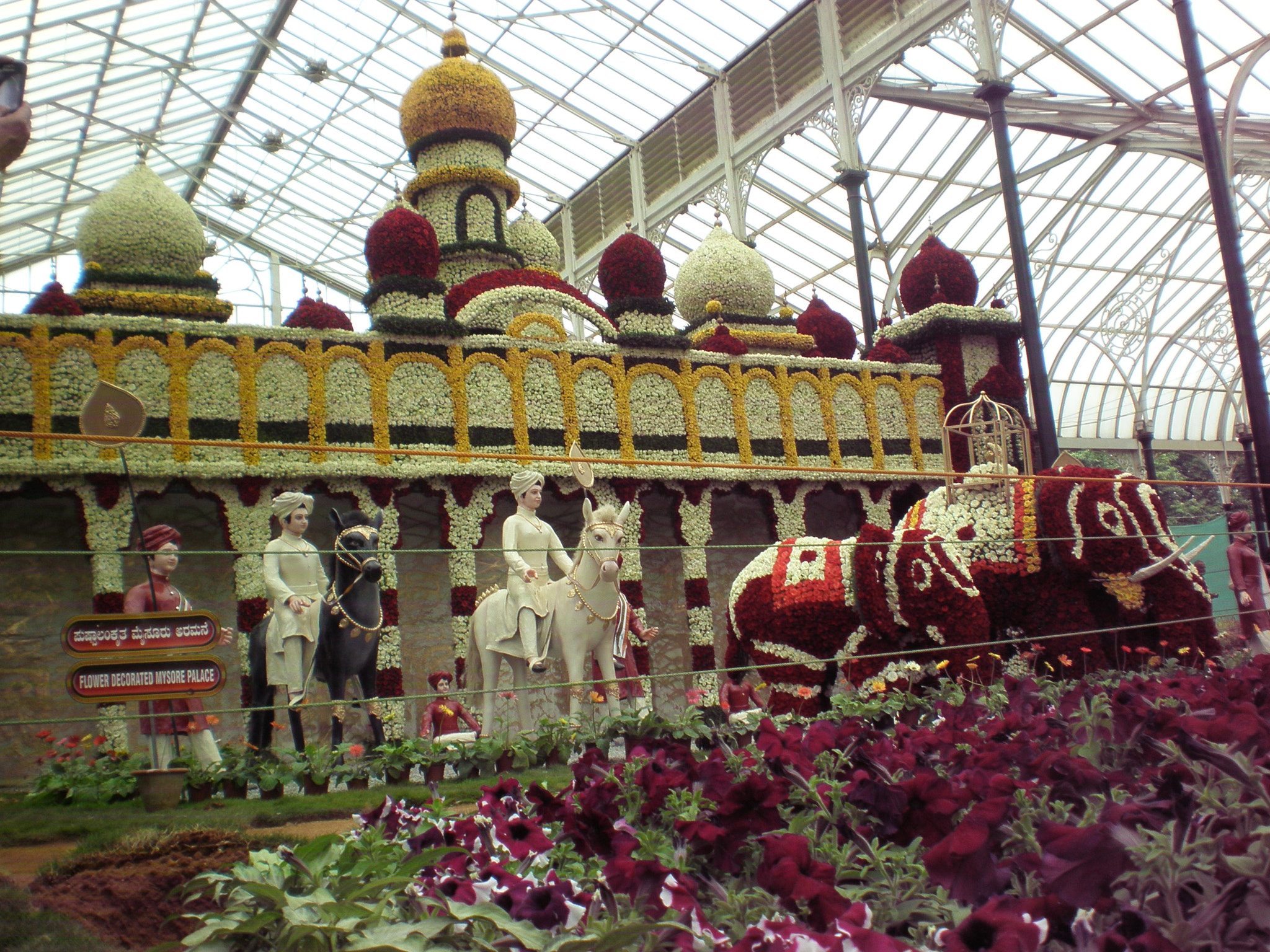Olympus FE280,X820,C520 sample photo. Flowershow photography