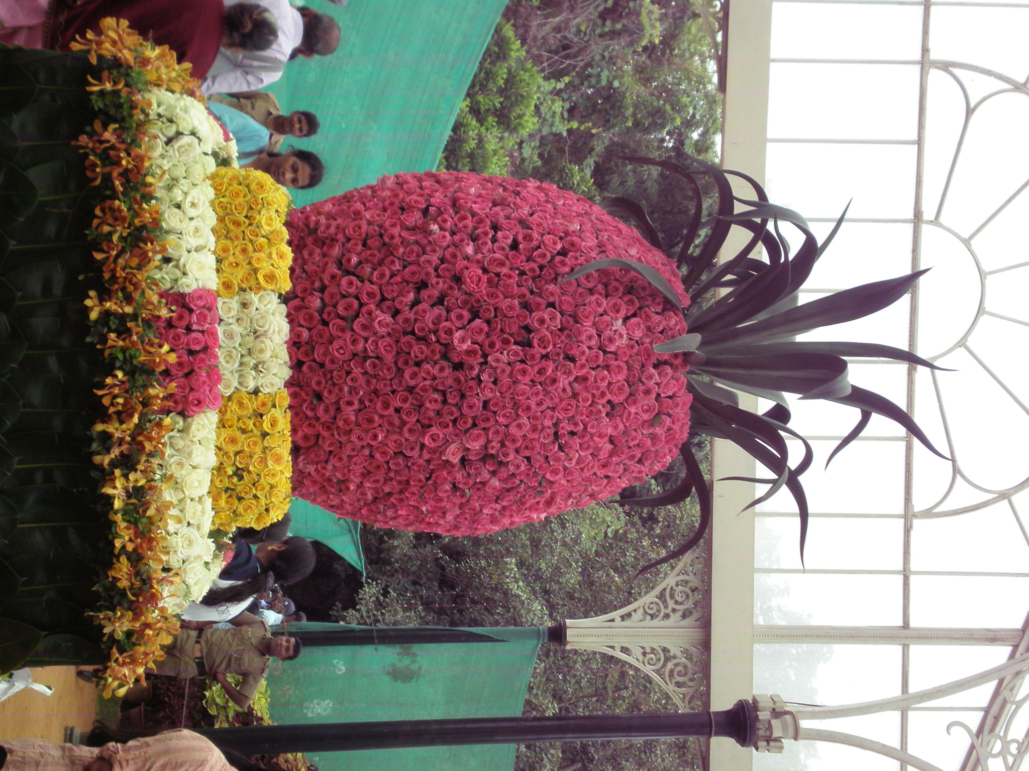 Olympus FE280,X820,C520 sample photo. Flowershow photography