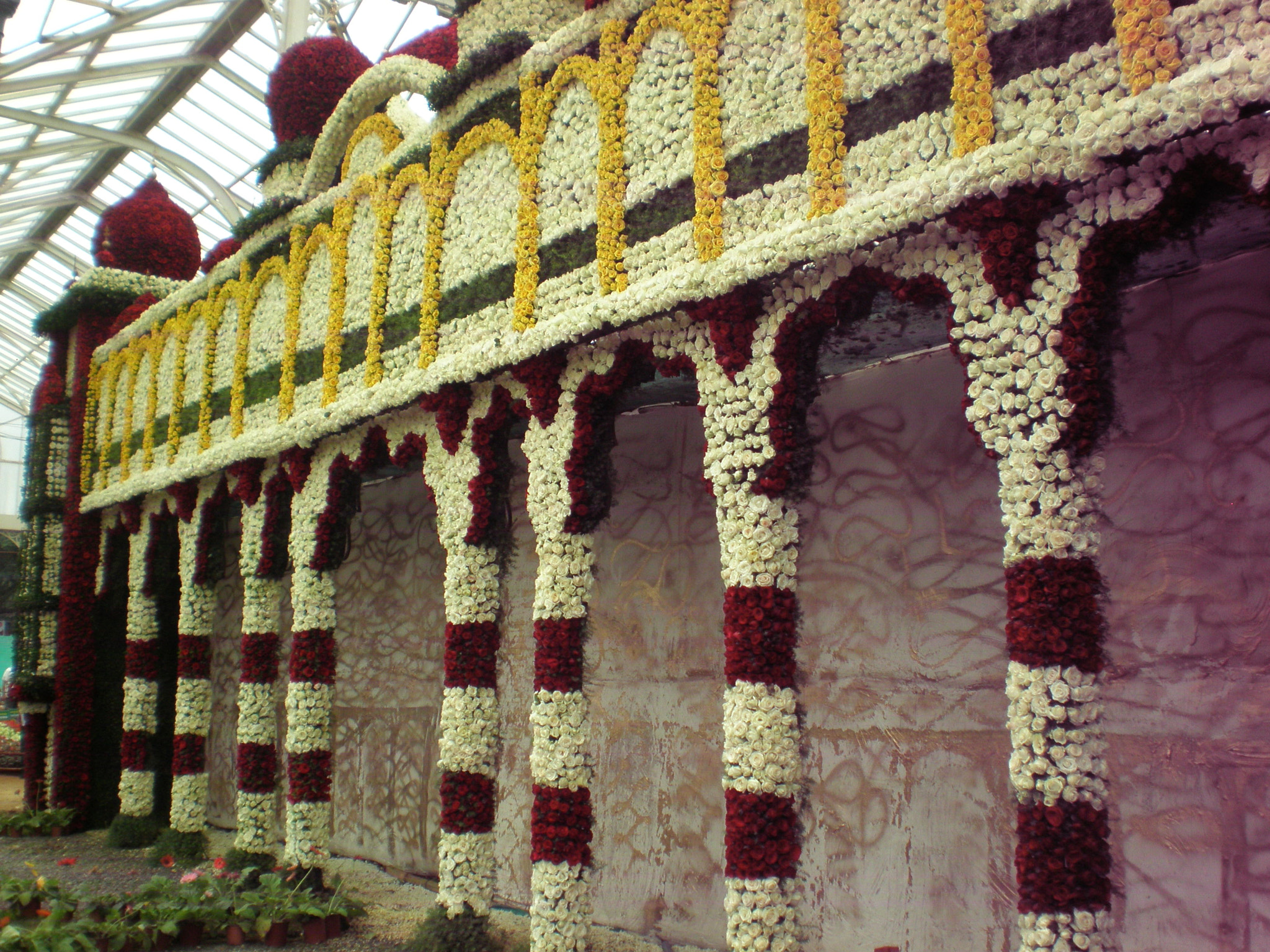 Olympus FE280,X820,C520 sample photo. Flowershow photography