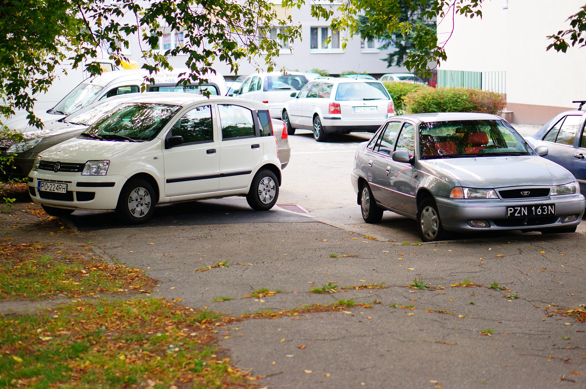 Sony Alpha NEX-5N + Sony E 50mm F1.8 OSS sample photo. Parked cars photography