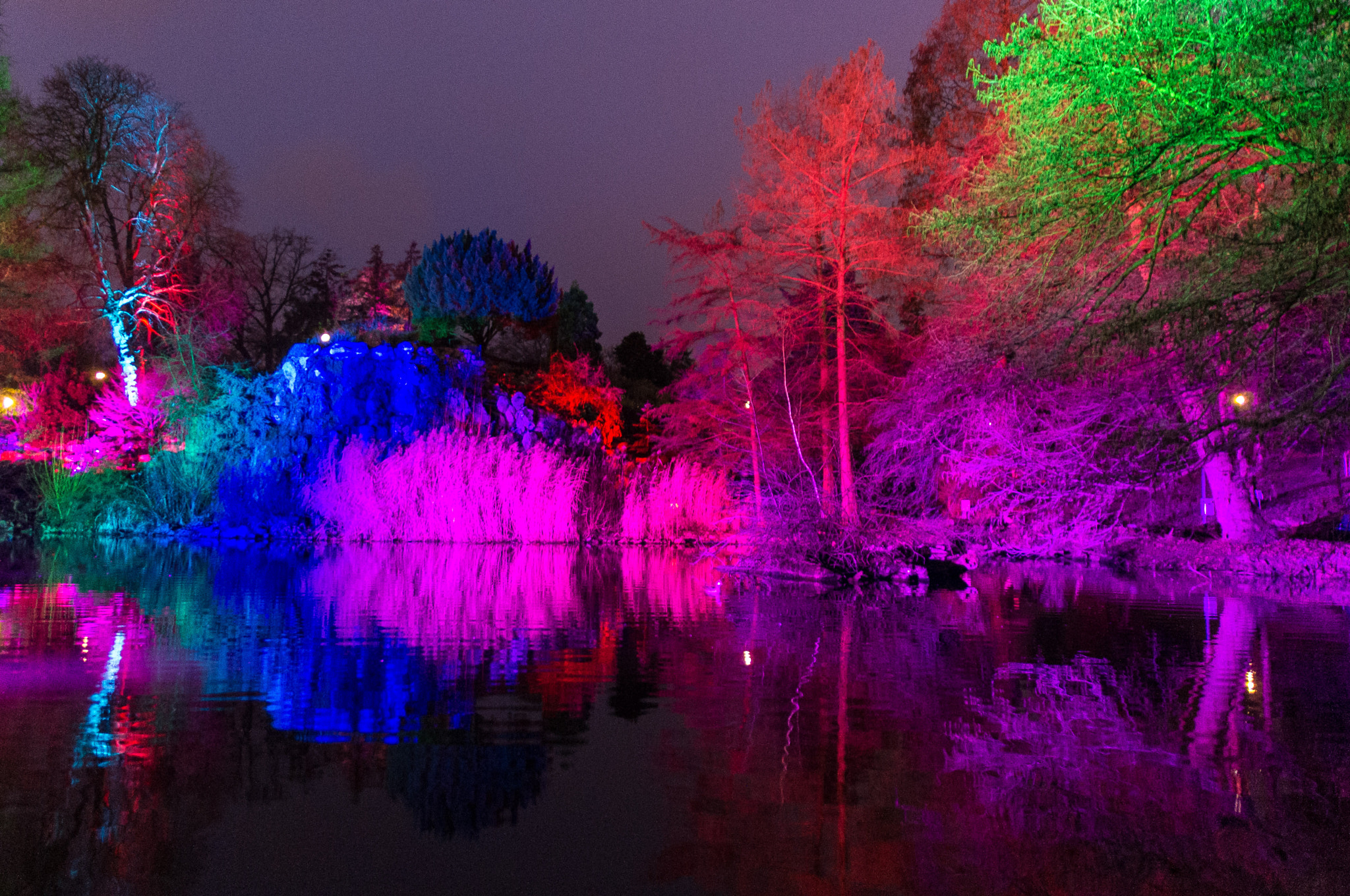 Pentax K-r + Sigma 17-70mm F2.8-4 DC Macro HSM Contemporary sample photo. Winter lights exhibition at frankfurt palmengarten photography