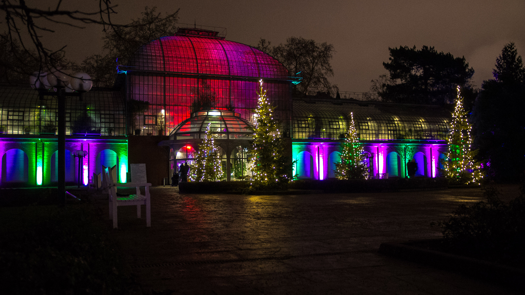 Pentax K-r + Sigma 17-70mm F2.8-4 DC Macro HSM Contemporary sample photo. Winter lights exhibition at frankfurt palmengarten photography