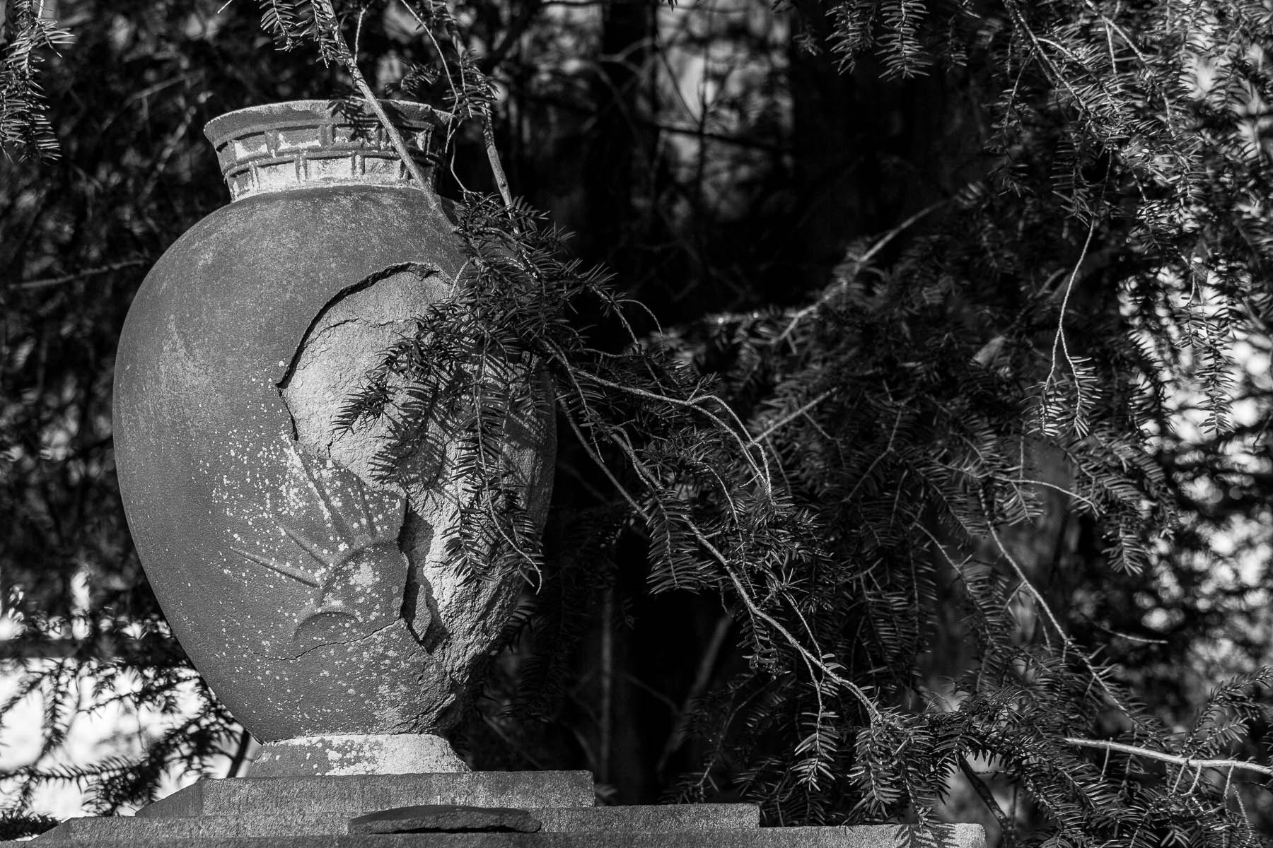 Canon EF-S 55-250mm F4-5.6 IS STM sample photo. As time goes by sw photography