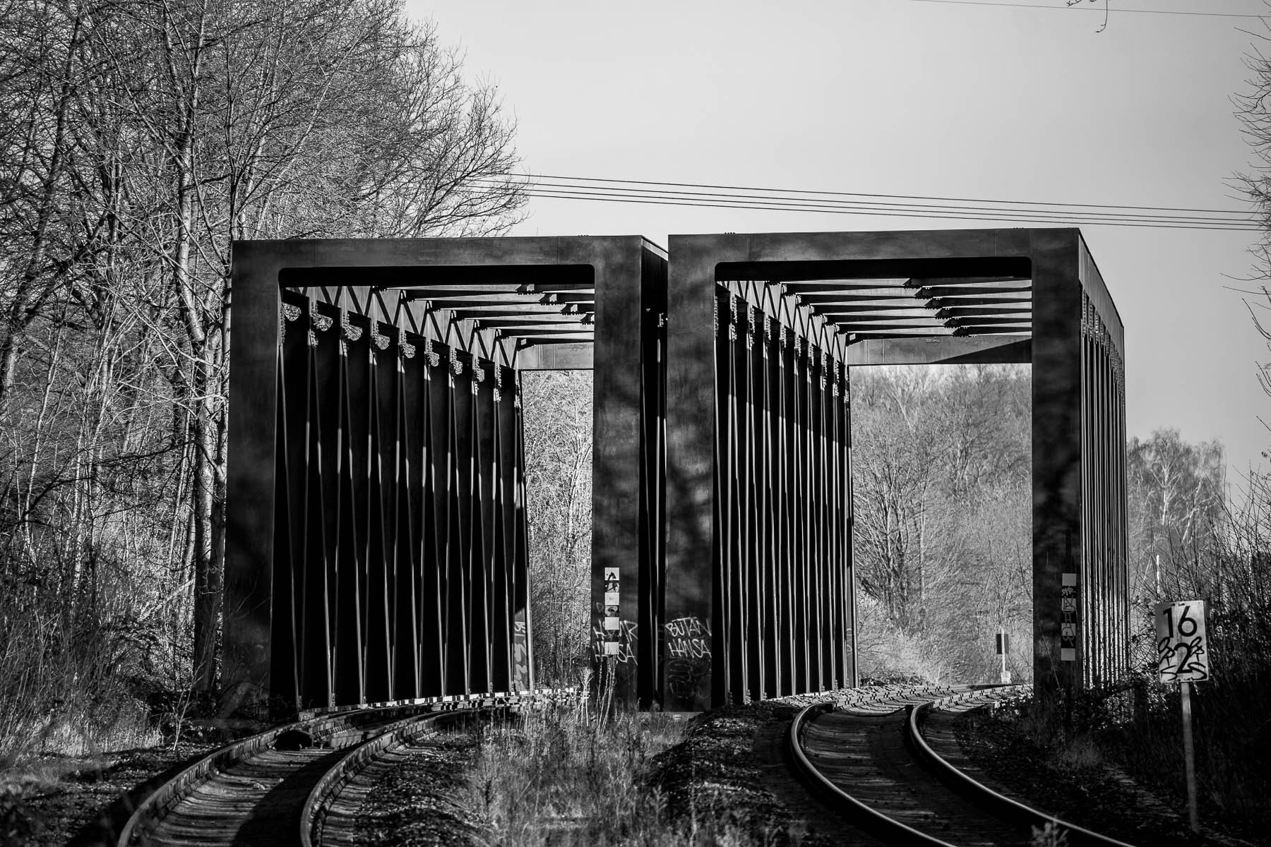 Canon EF-S 55-250mm F4-5.6 IS STM sample photo. Bridge sw photography
