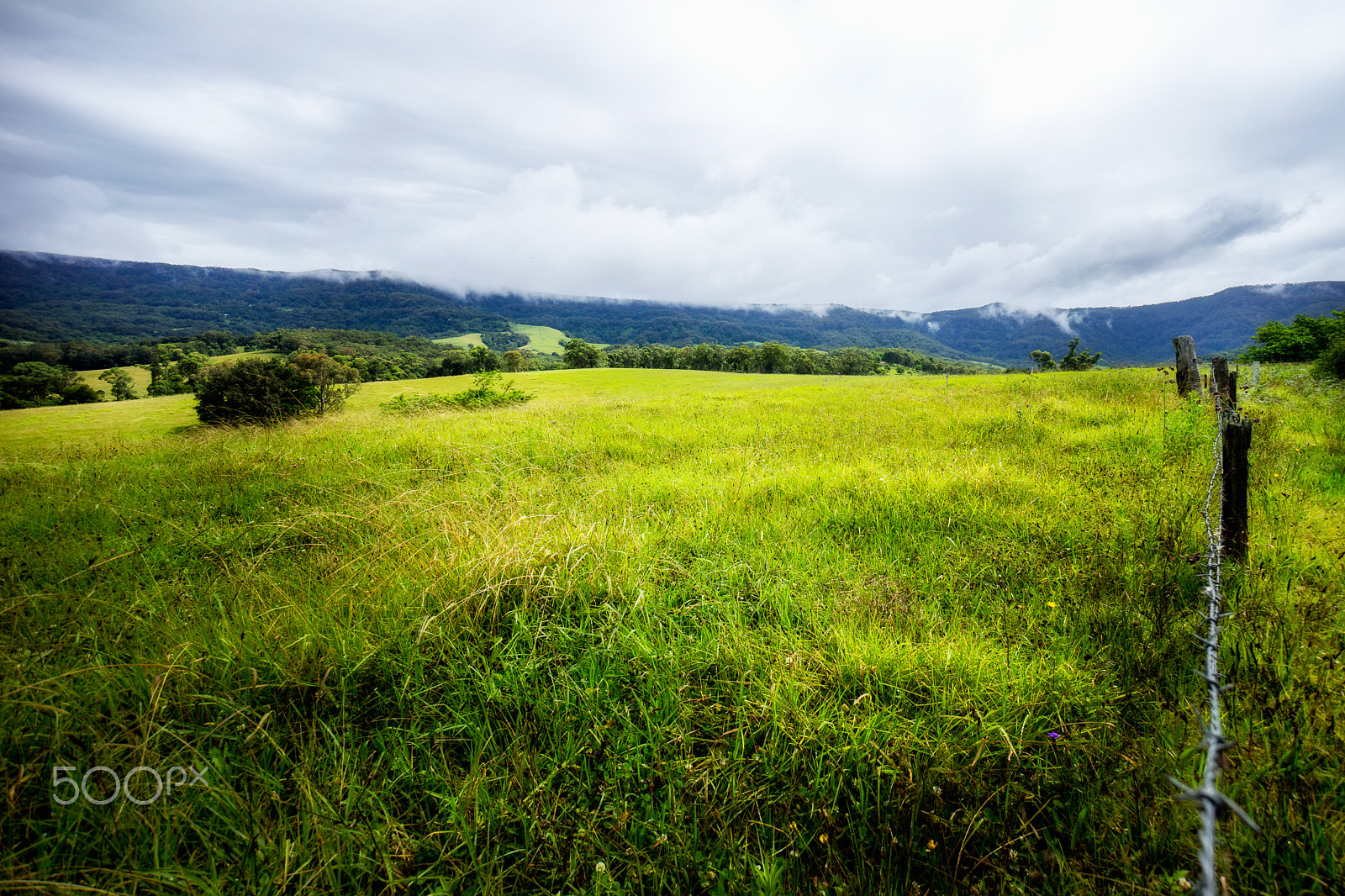 Sony a7 II + Sony E 10-18mm F4 OSS sample photo. Jamberoo photography