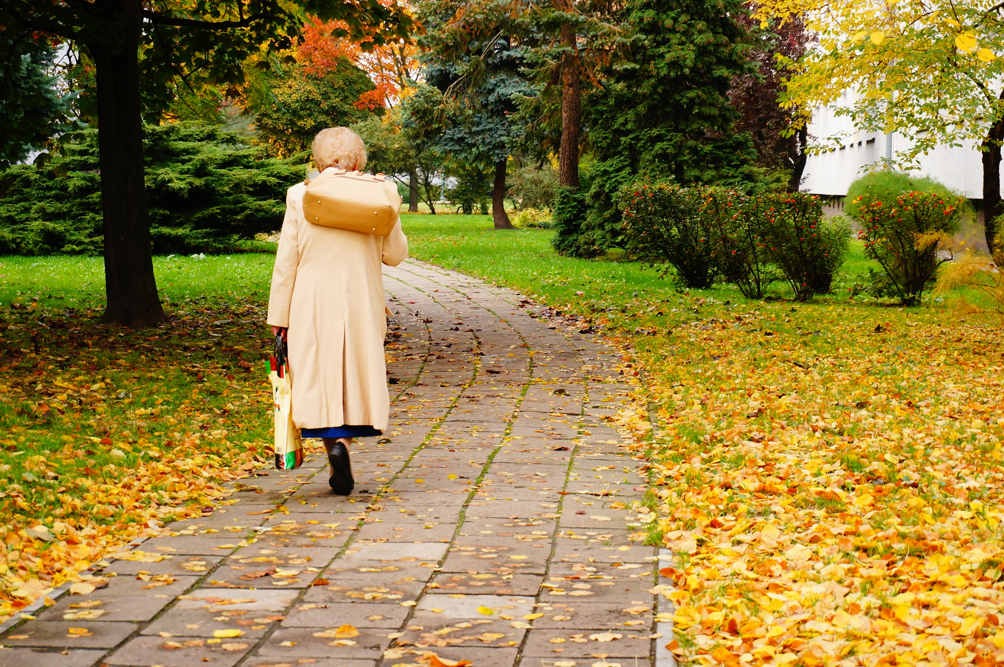 Sony Alpha NEX-5N + Sony E 16-50mm F3.5-5.6 PZ OSS sample photo. Poznan, poland - october 16, 2013: senior woman walking with her shopping bag at a park photography