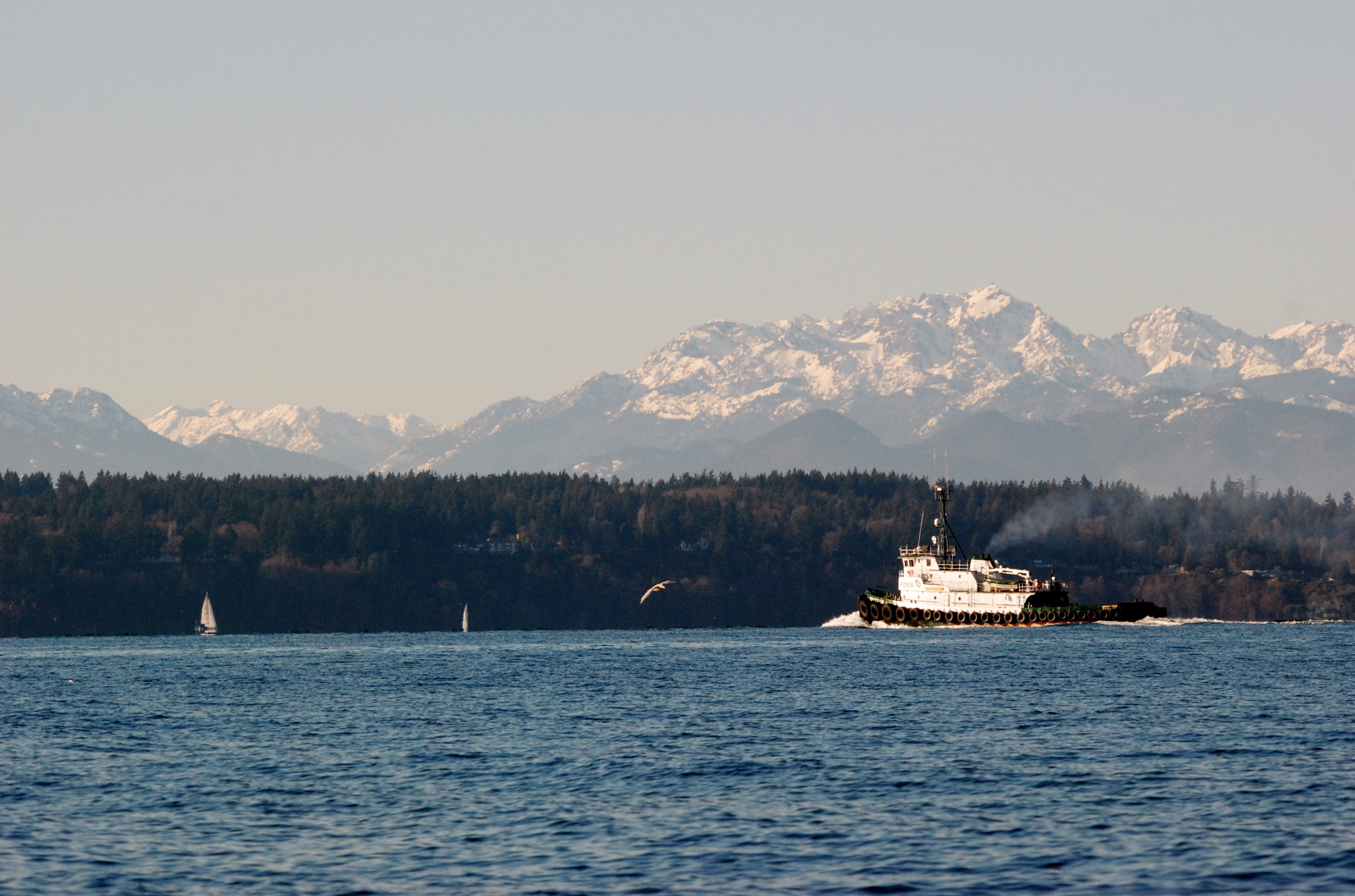 Nikon AF-Nikkor 80-200mm F2.8D ED sample photo. Olympic mountains photography