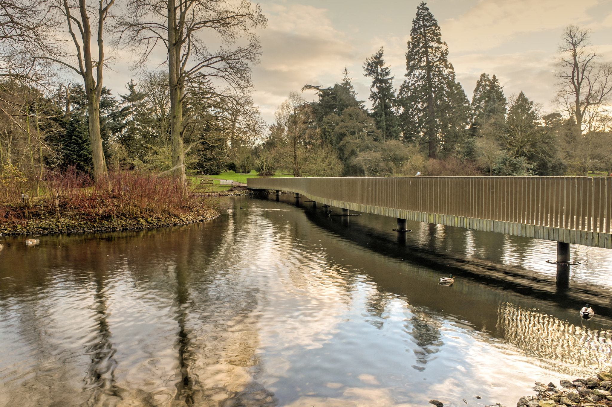 Sony SLT-A55 (SLT-A55V) sample photo. Sackler crossing photography