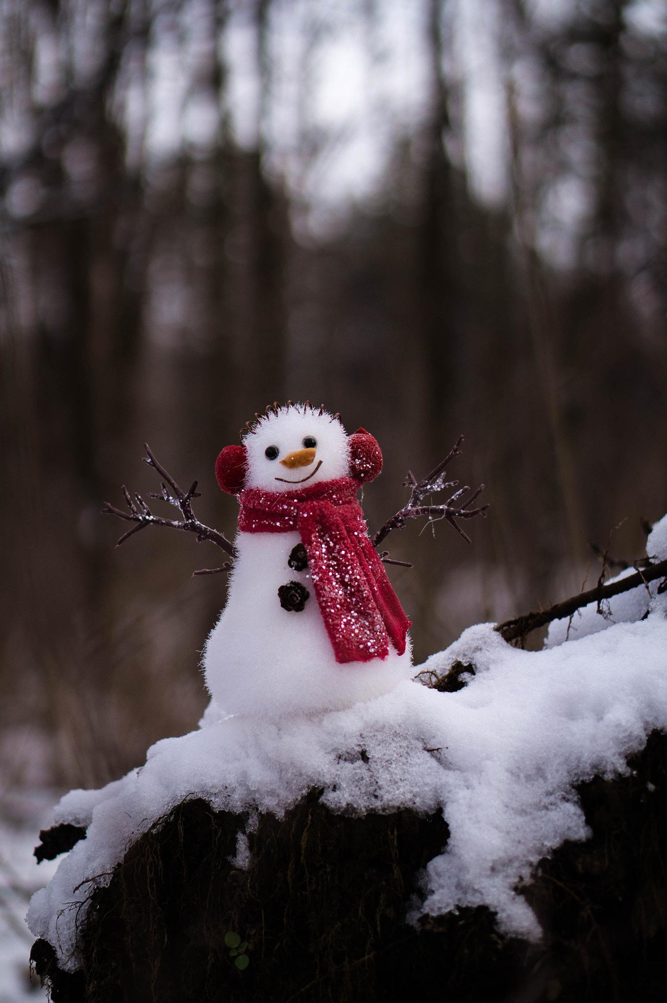 Sony Alpha a3000 sample photo. Little snowman photography