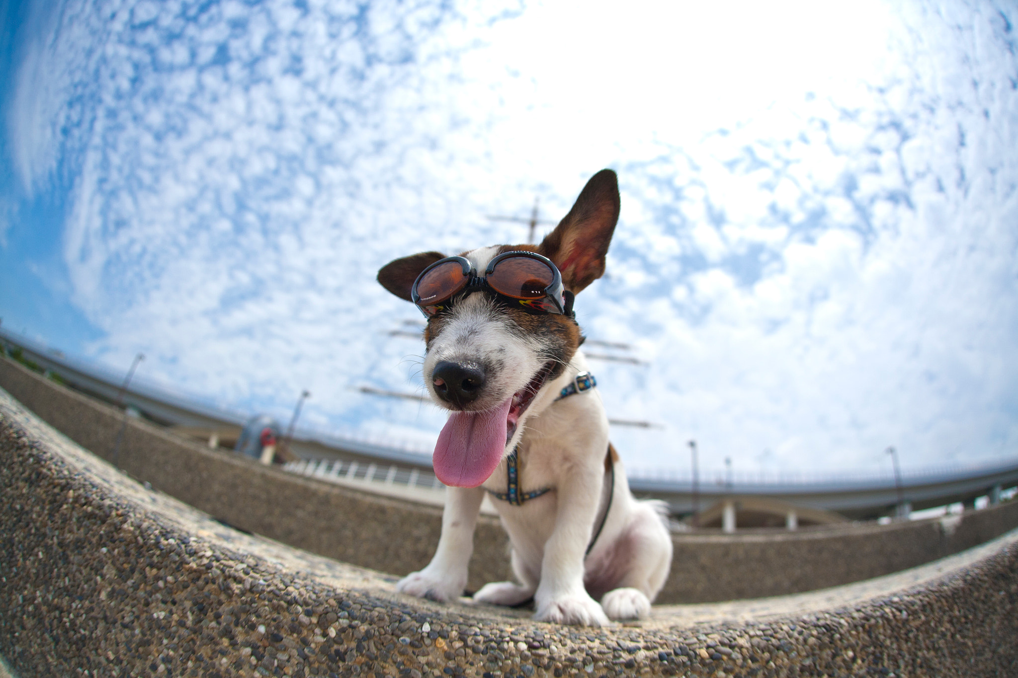 Canon EOS 5D + Sigma 15mm f/2.8 EX Fisheye sample photo. 05. photography