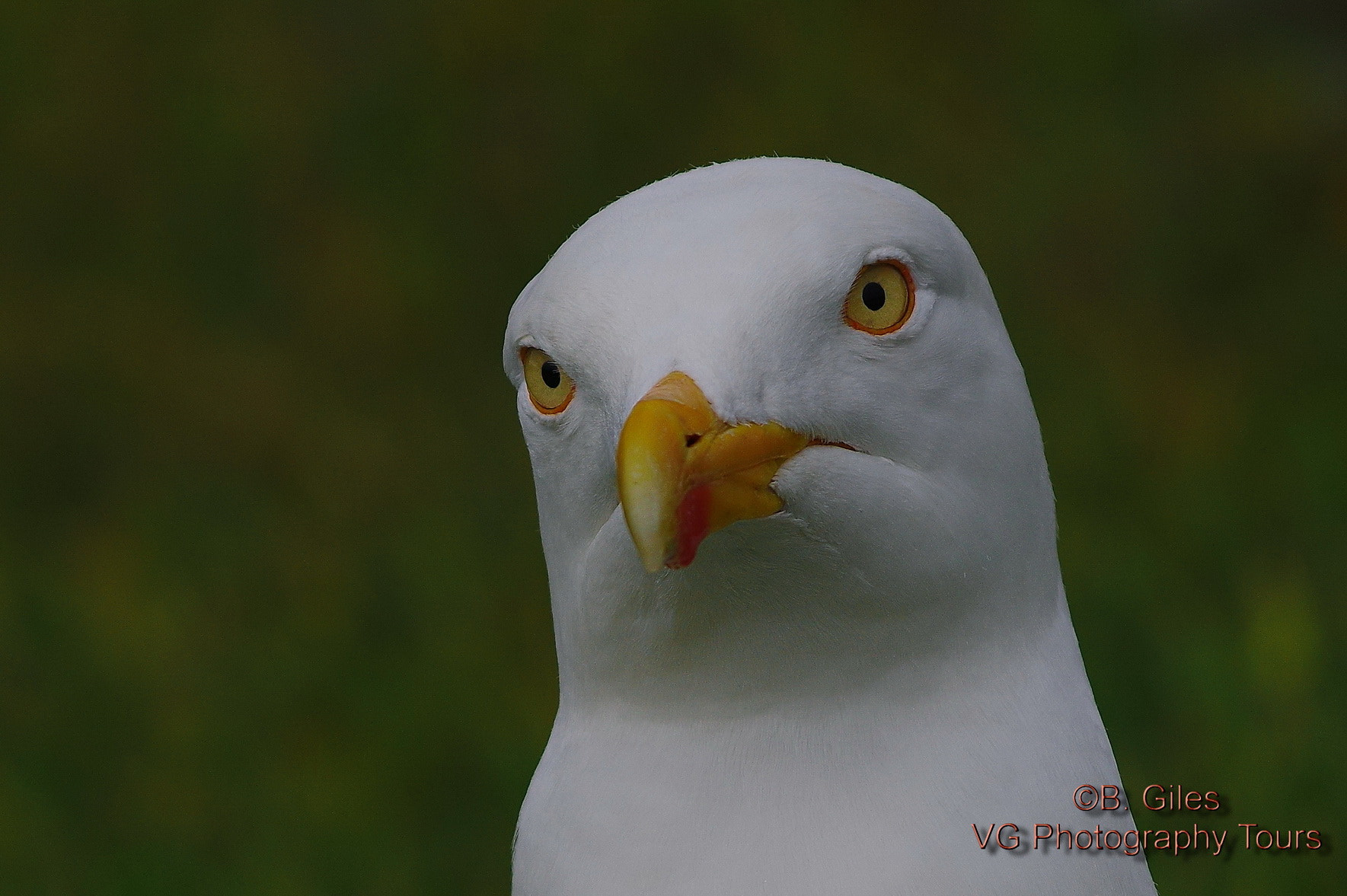 Pentax smc DA* 60-250mm F4.0 ED (IF) SDM sample photo. Contemplation photography