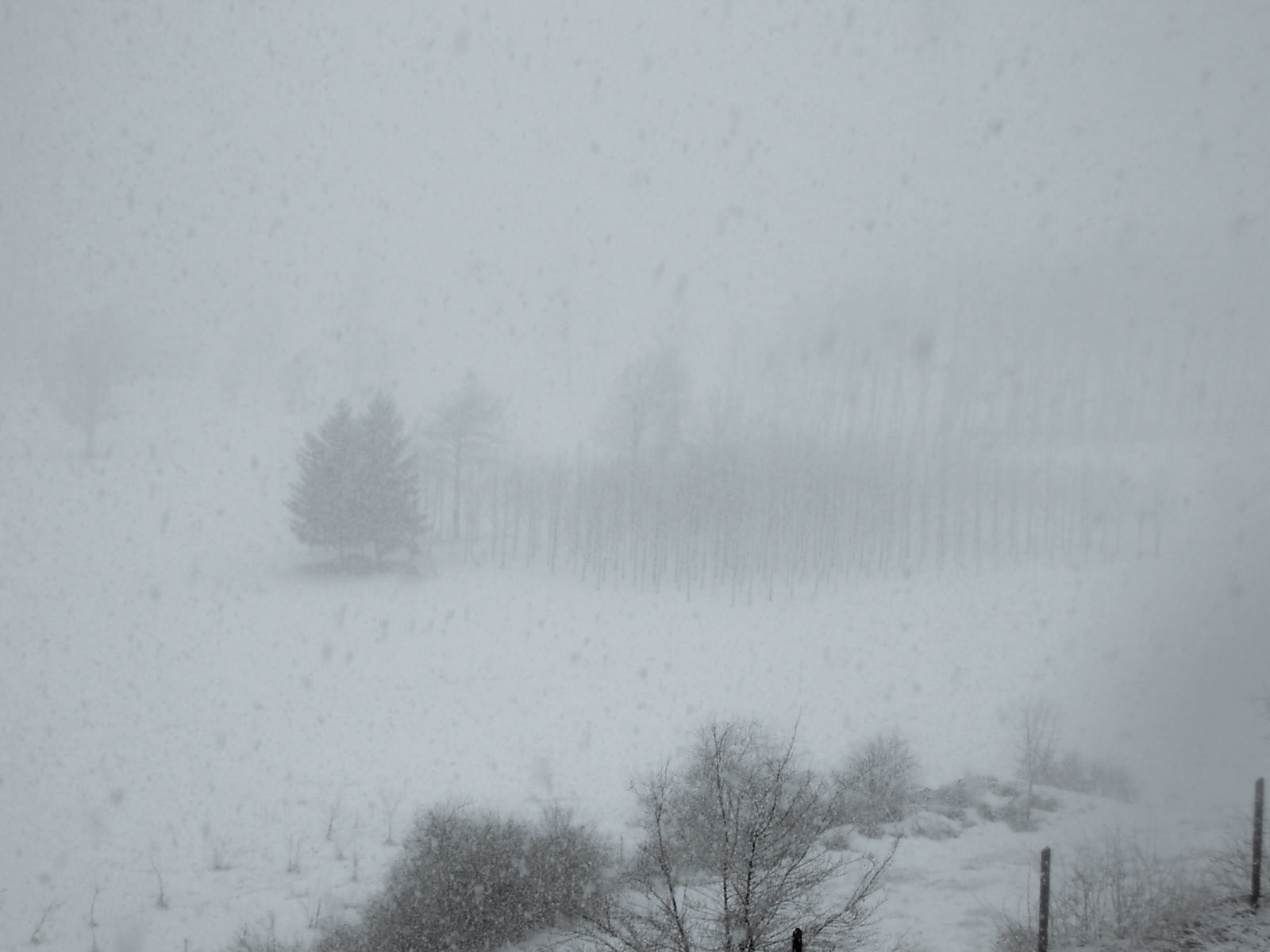 EPSON L-400 sample photo. Dreamy snow photography
