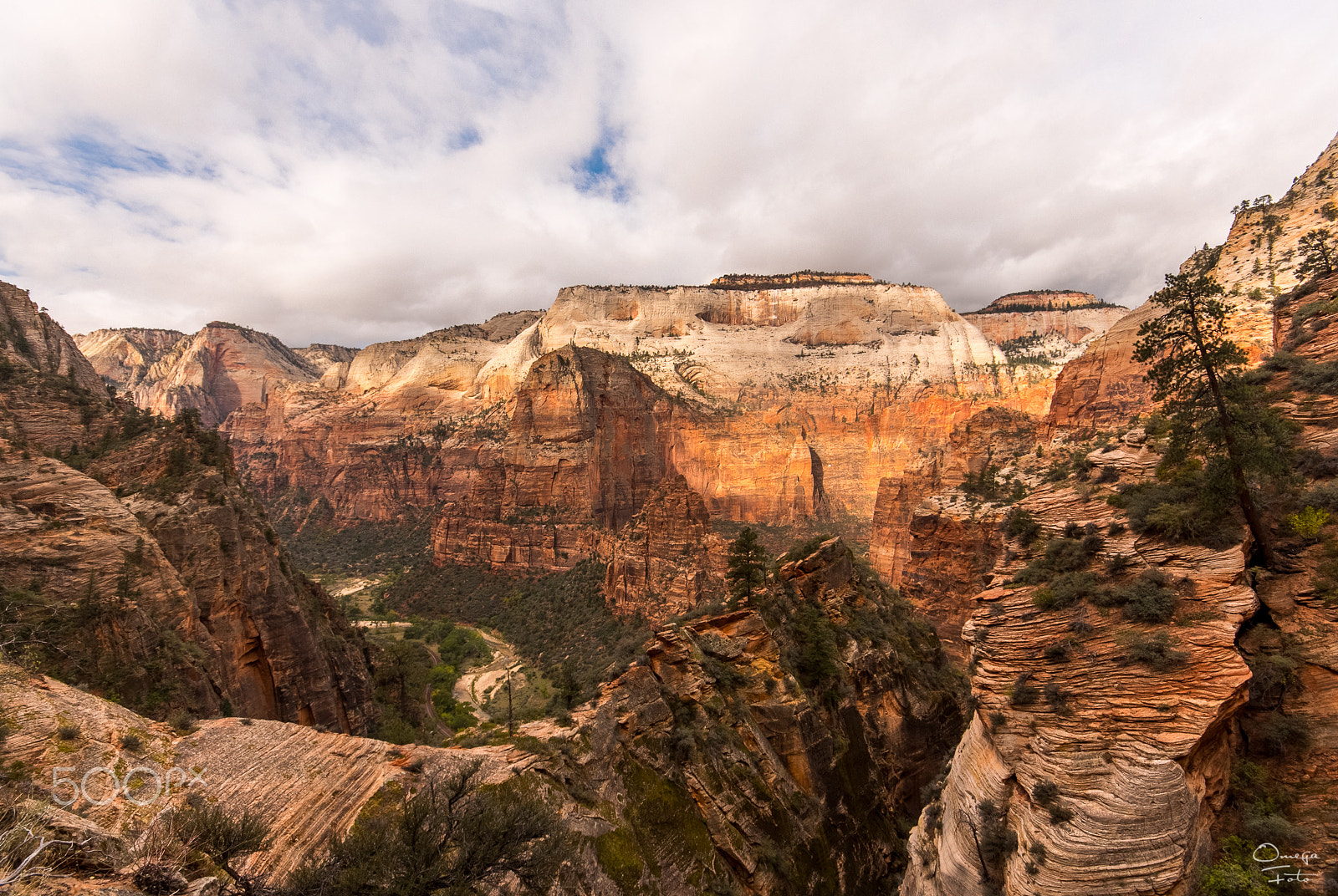 Sigma 10-20mm F4-5.6 EX DC HSM sample photo. Zion canyon photography