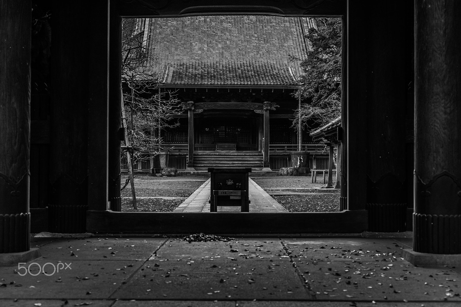ZEISS Otus 55mm F1.4 sample photo. Temple in the frame photography