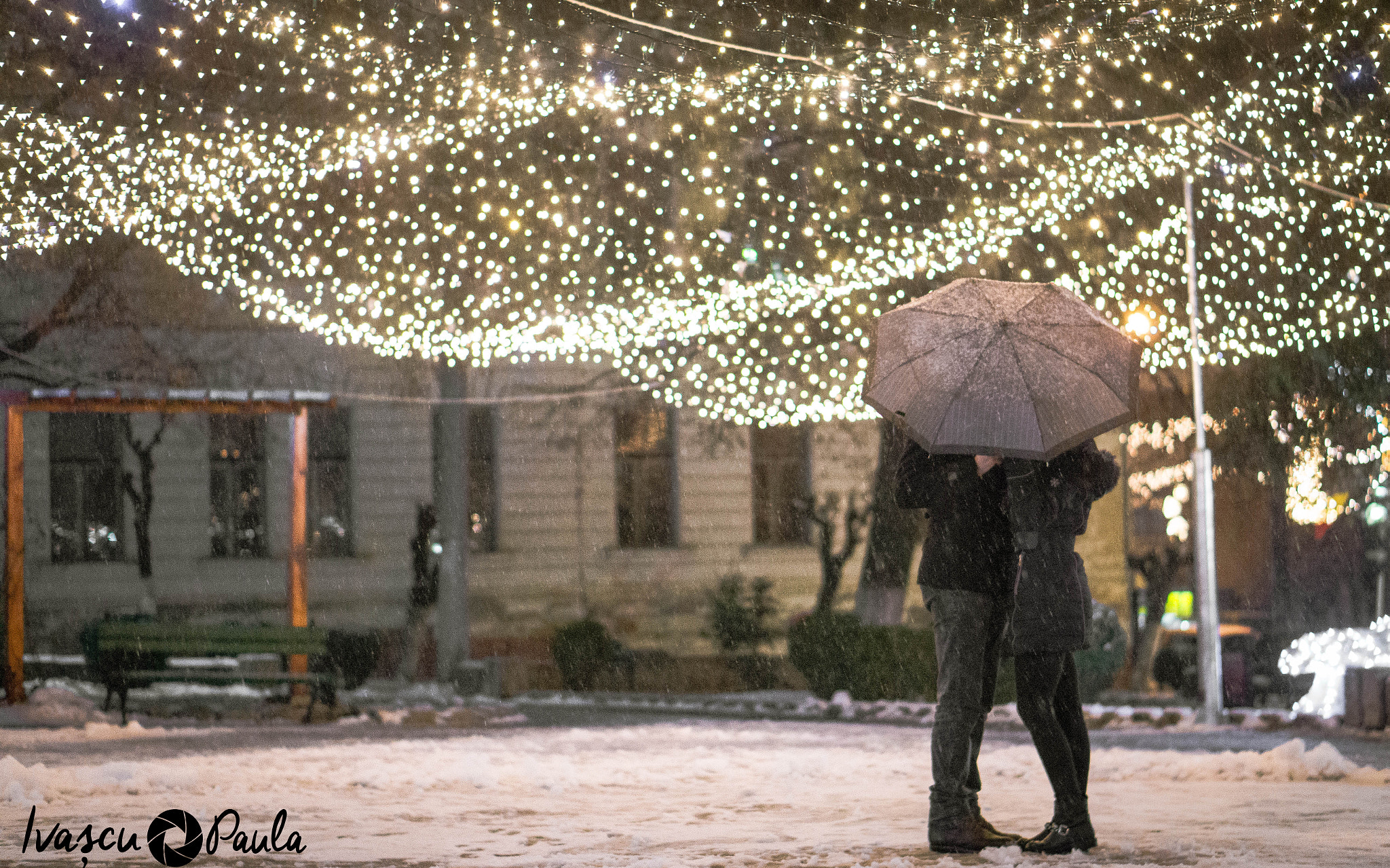 Sony Alpha a3000 sample photo. Lovely lights photography