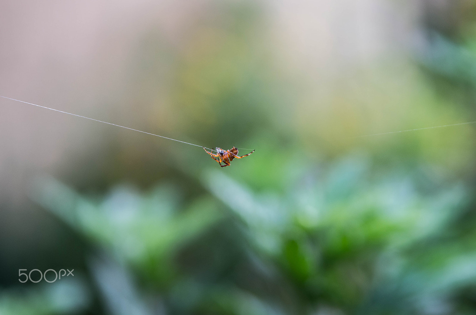 Tamron AF 28-75mm F2.8 XR Di LD Aspherical (IF) sample photo. Hanging around photography