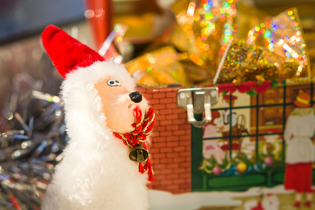 Sony Sonnar T* 135mm F1.8 ZA sample photo. Christmas motifs photography