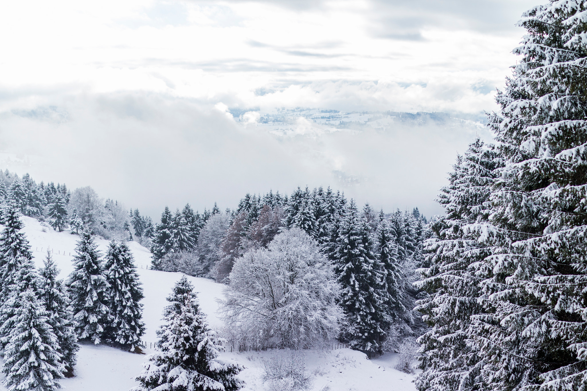 Canon EOS M + Sigma 35mm F1.4 DG HSM Art sample photo. Winter photography