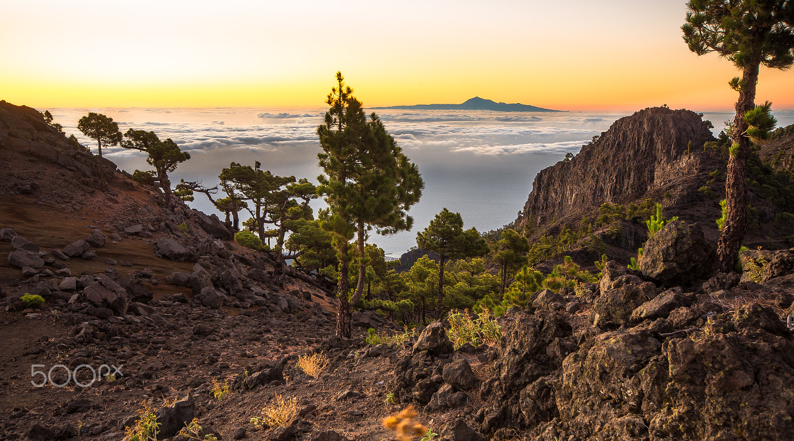 Pentax K-30 + Sigma AF 10-20mm F4-5.6 EX DC sample photo. Sunset over the clouds (la palma) photography