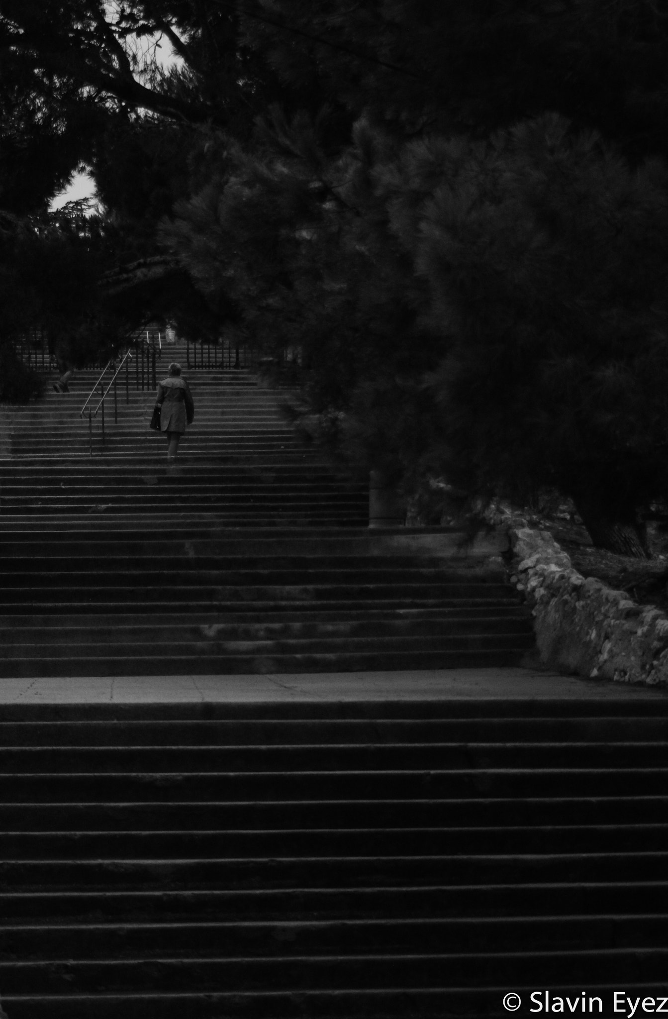 Canon EF 80-200mm F4.5-5.6 II sample photo. Stairway to heaven photography