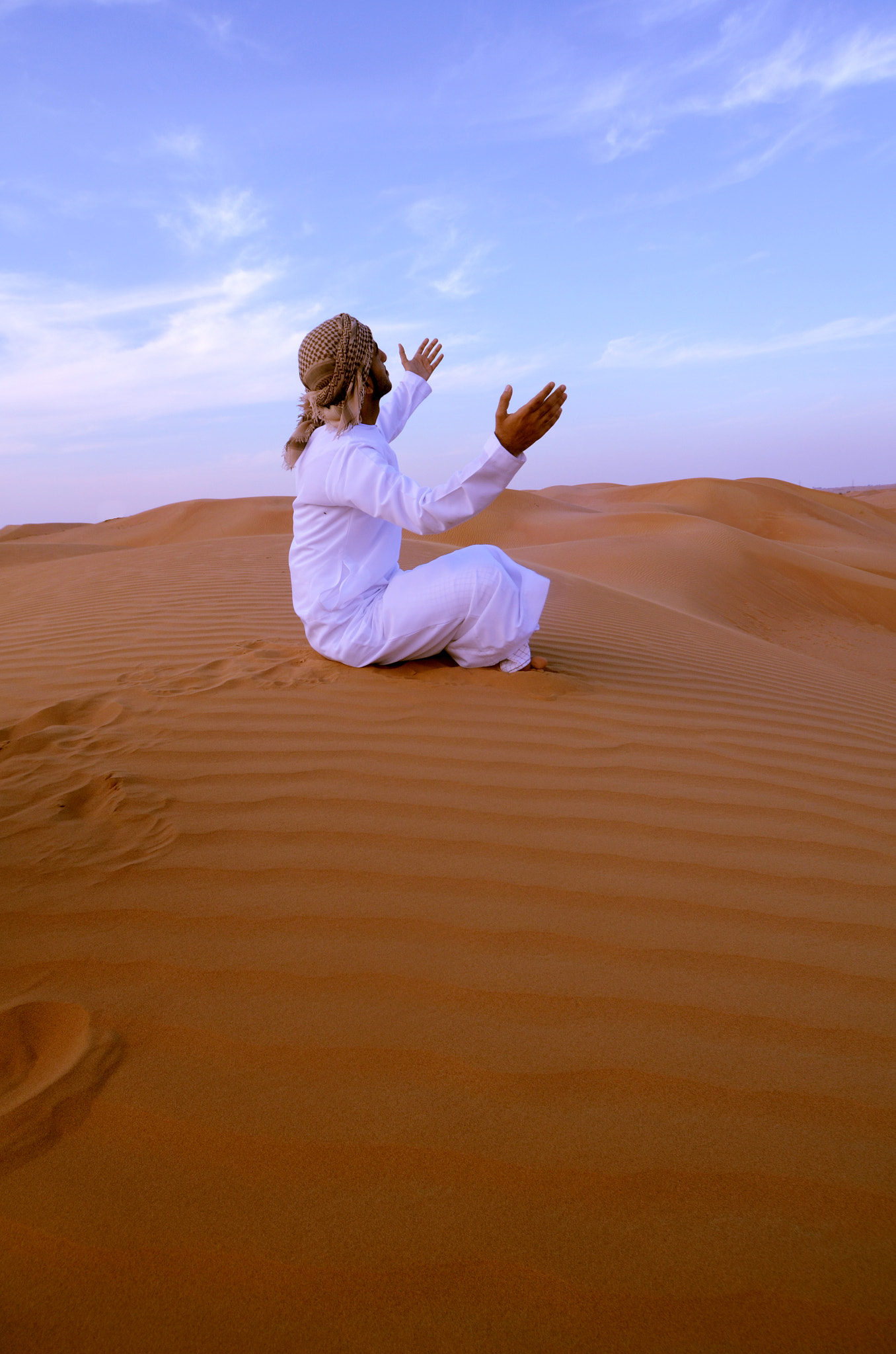 Sigma 12-24mm F4.5-5.6 EX DG Aspherical HSM sample photo. Safari in arabia photography