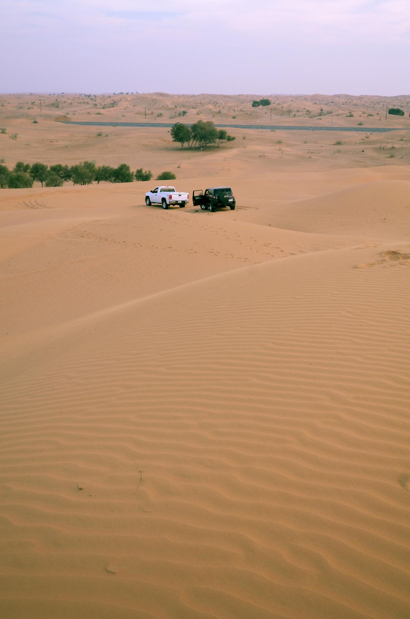 Sigma 12-24mm F4.5-5.6 EX DG Aspherical HSM sample photo. Safari in arabia photography