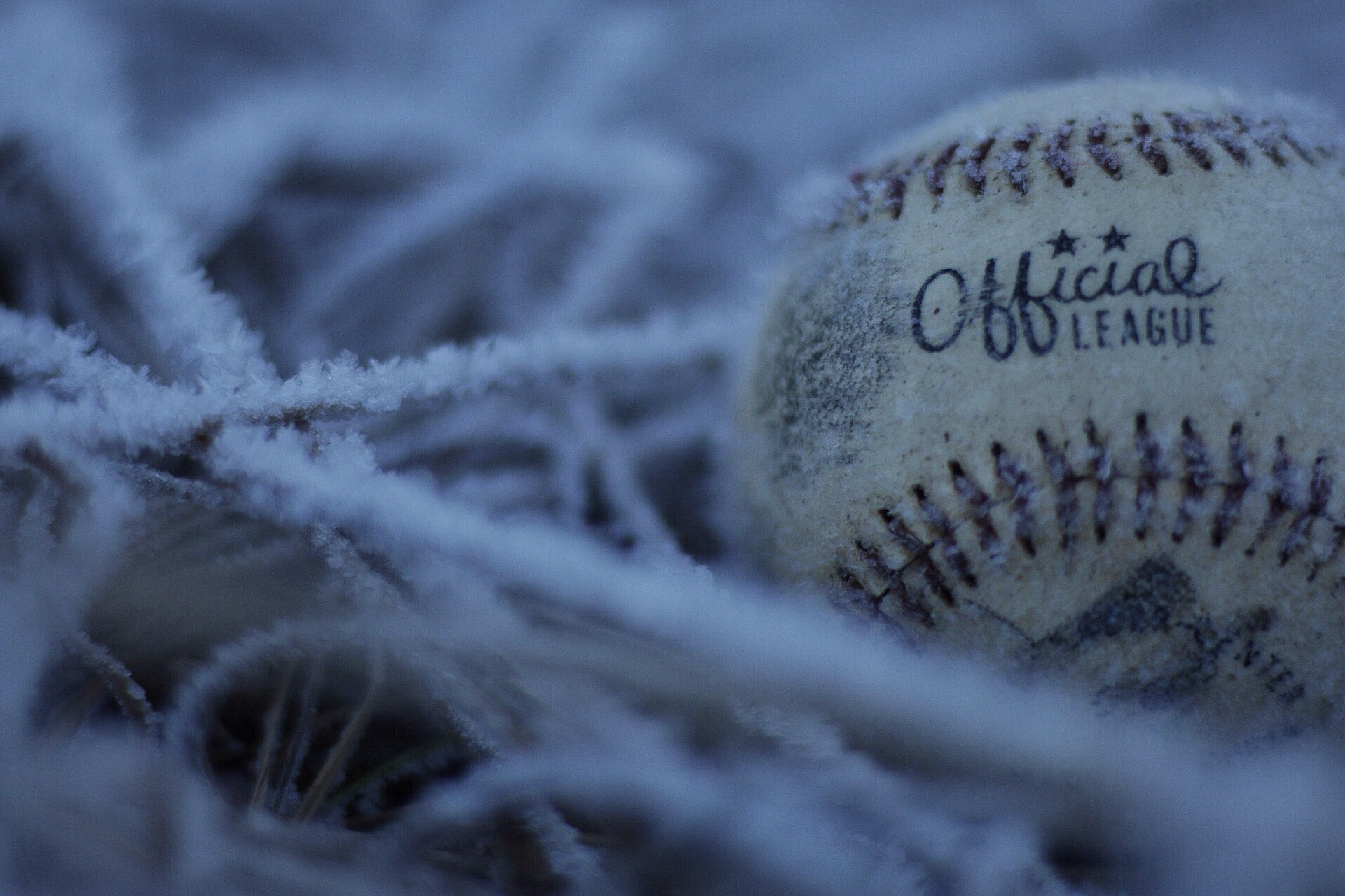 Canon EF 50mm F1.8 STM sample photo. The frozen ball 2 photography