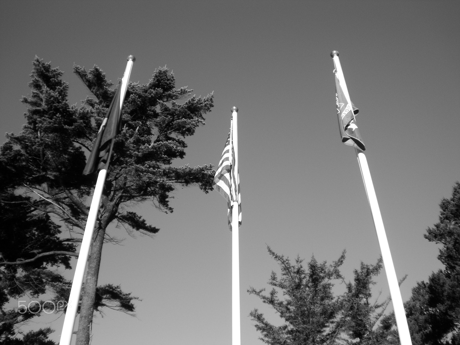 SANYO S120 sample photo. Flags at rest b&w photography