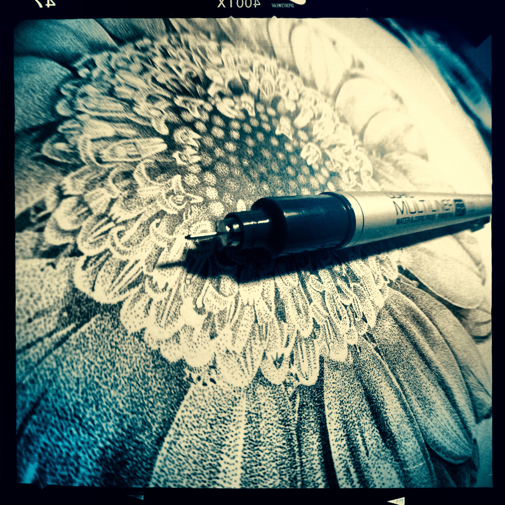 Hipstamatic 270 sample photo. 80+hours. 12" daisy, one .03mm dot at a time. photography