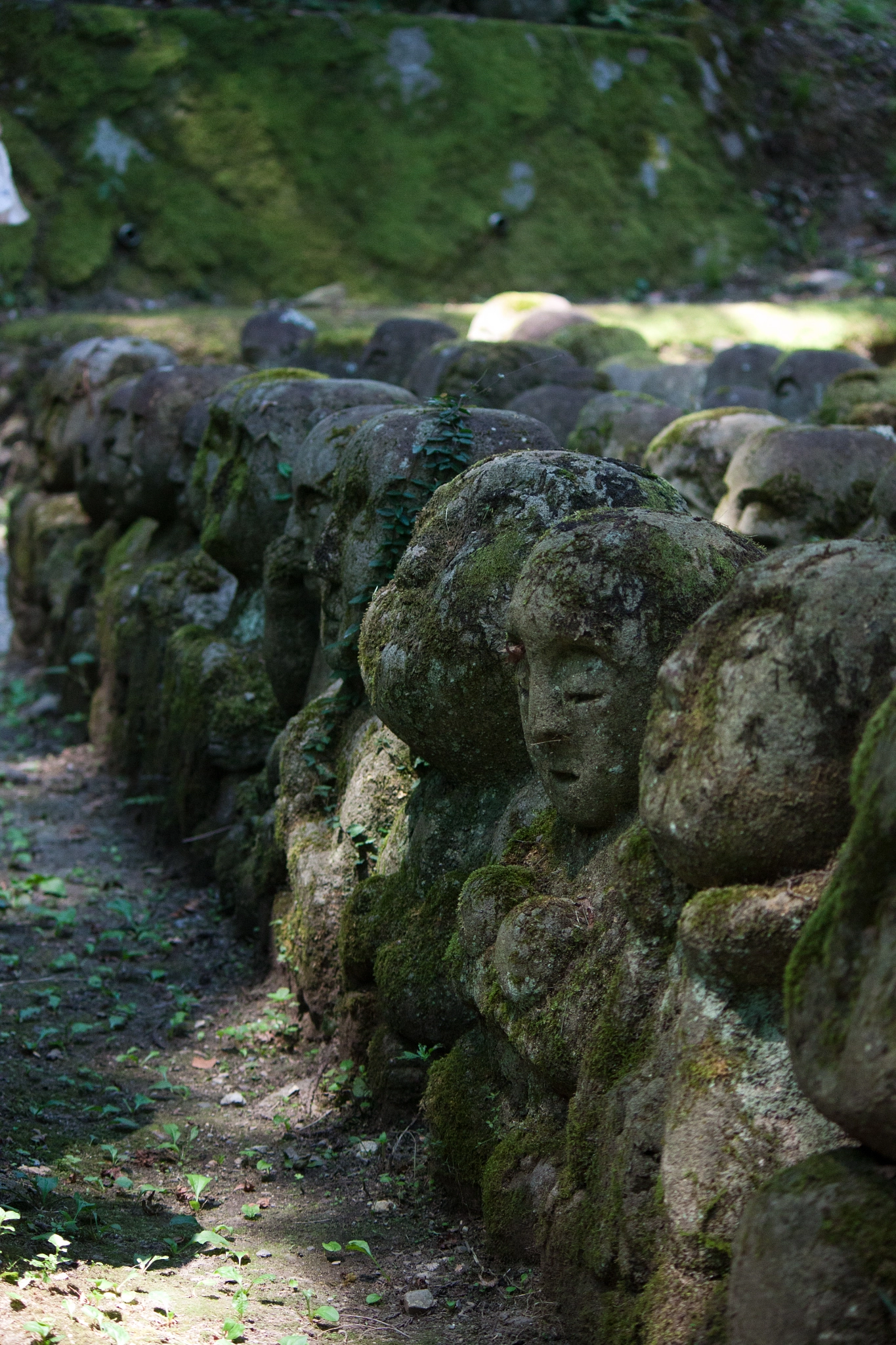 Canon EOS 500D (EOS Rebel T1i / EOS Kiss X3) sample photo. Little buddhas i photography