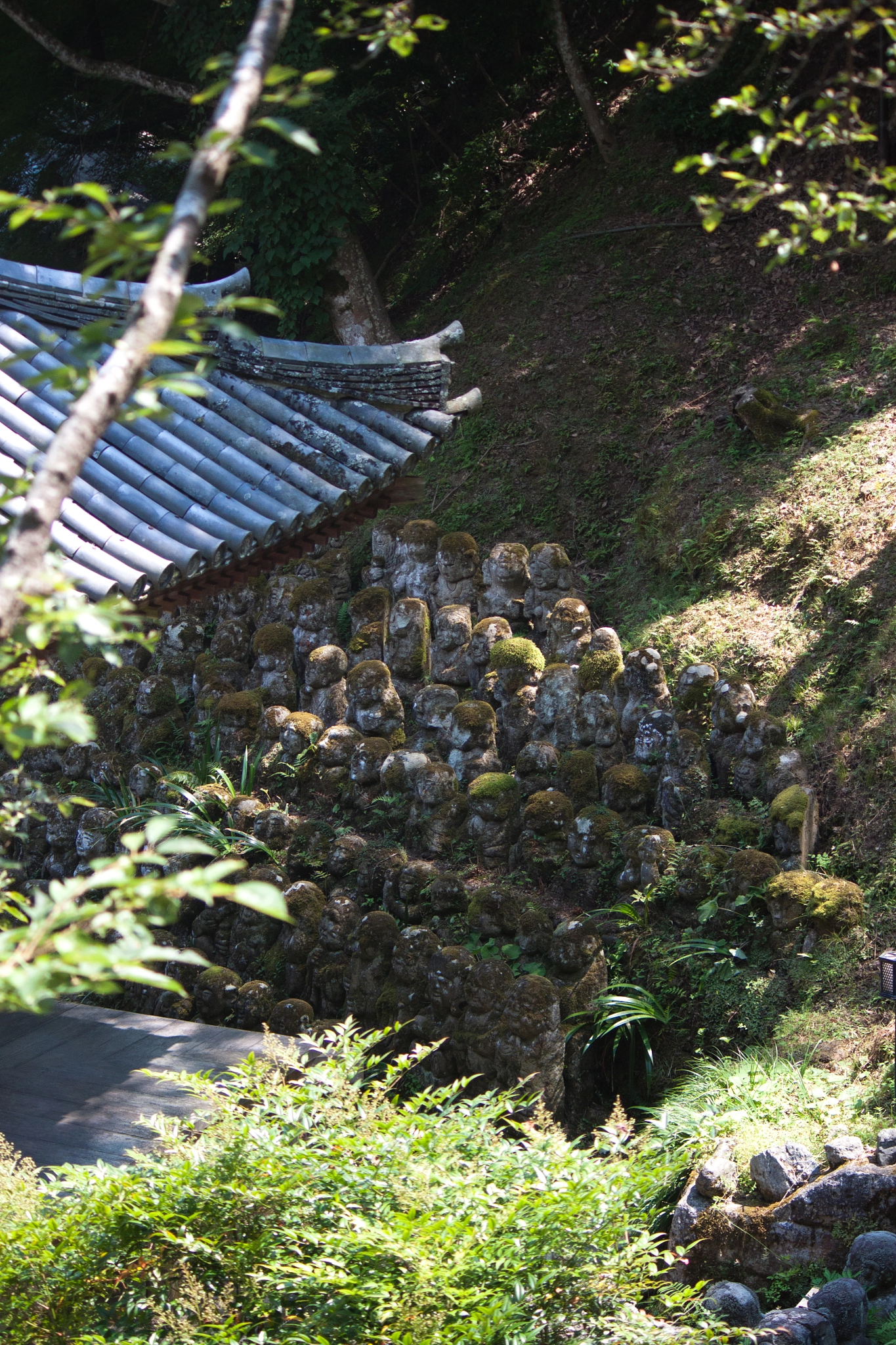 Canon EOS 500D (EOS Rebel T1i / EOS Kiss X3) sample photo. Little buddhas iii photography