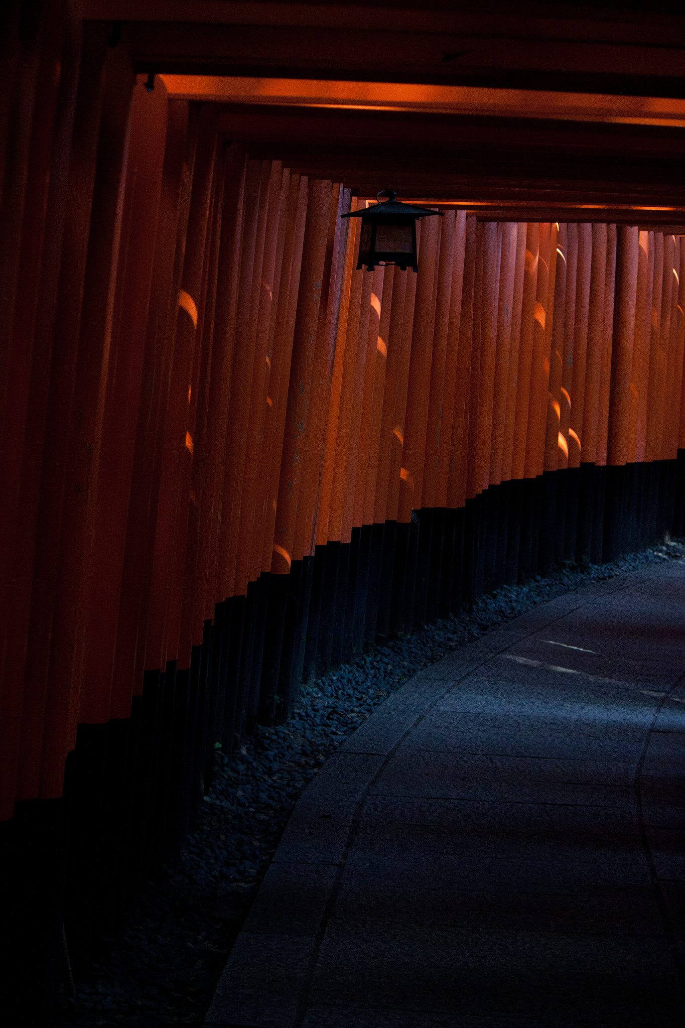 Canon EOS 500D (EOS Rebel T1i / EOS Kiss X3) sample photo. Red gates i photography