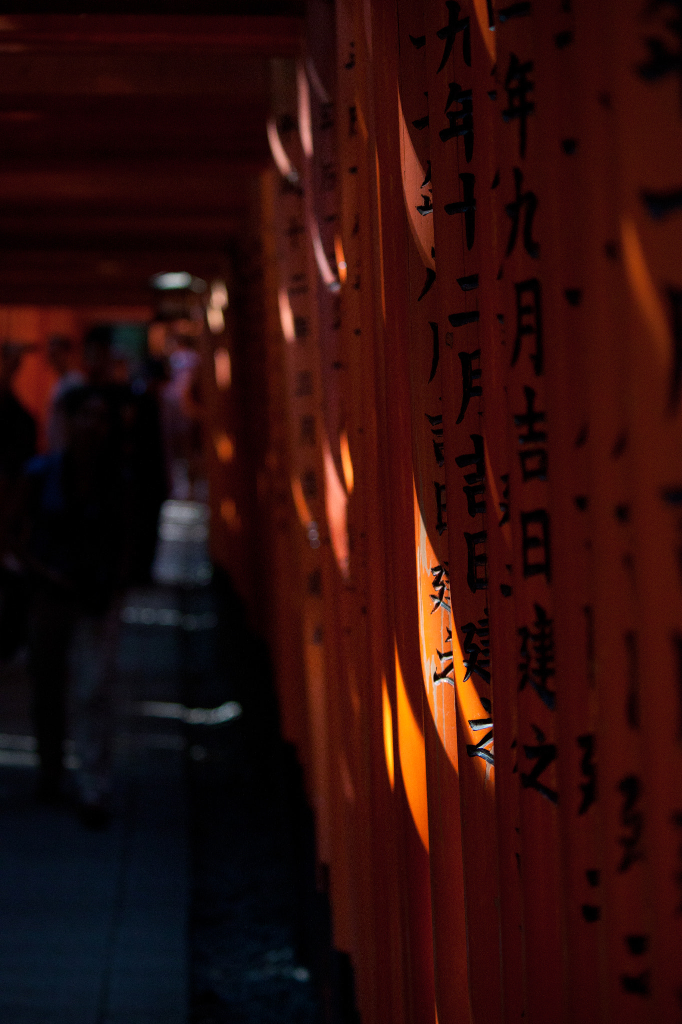 Canon EOS 500D (EOS Rebel T1i / EOS Kiss X3) sample photo. Red gates ii photography