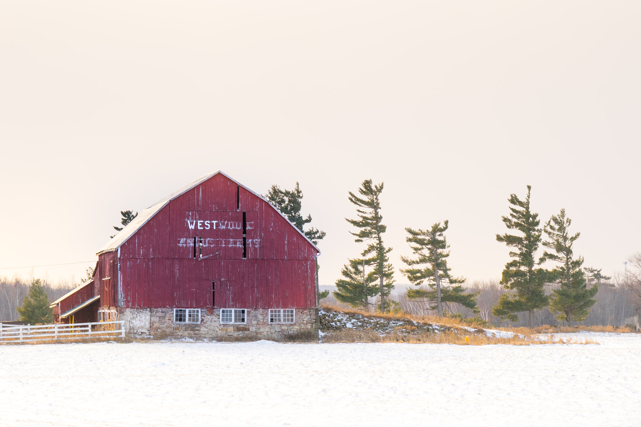 Sony a7 II + Tamron SP 70-300mm F4-5.6 Di USD sample photo. Winter tale photography