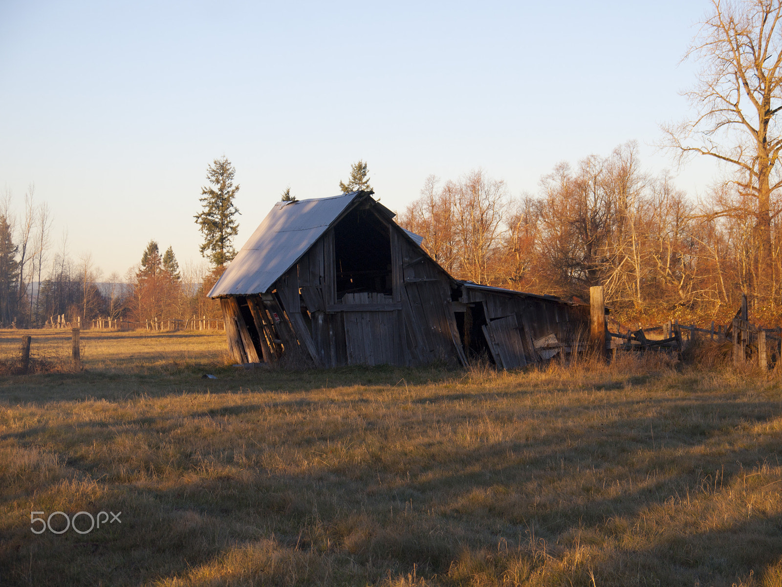 Olympus PEN E-P1 sample photo. "fading light" photography