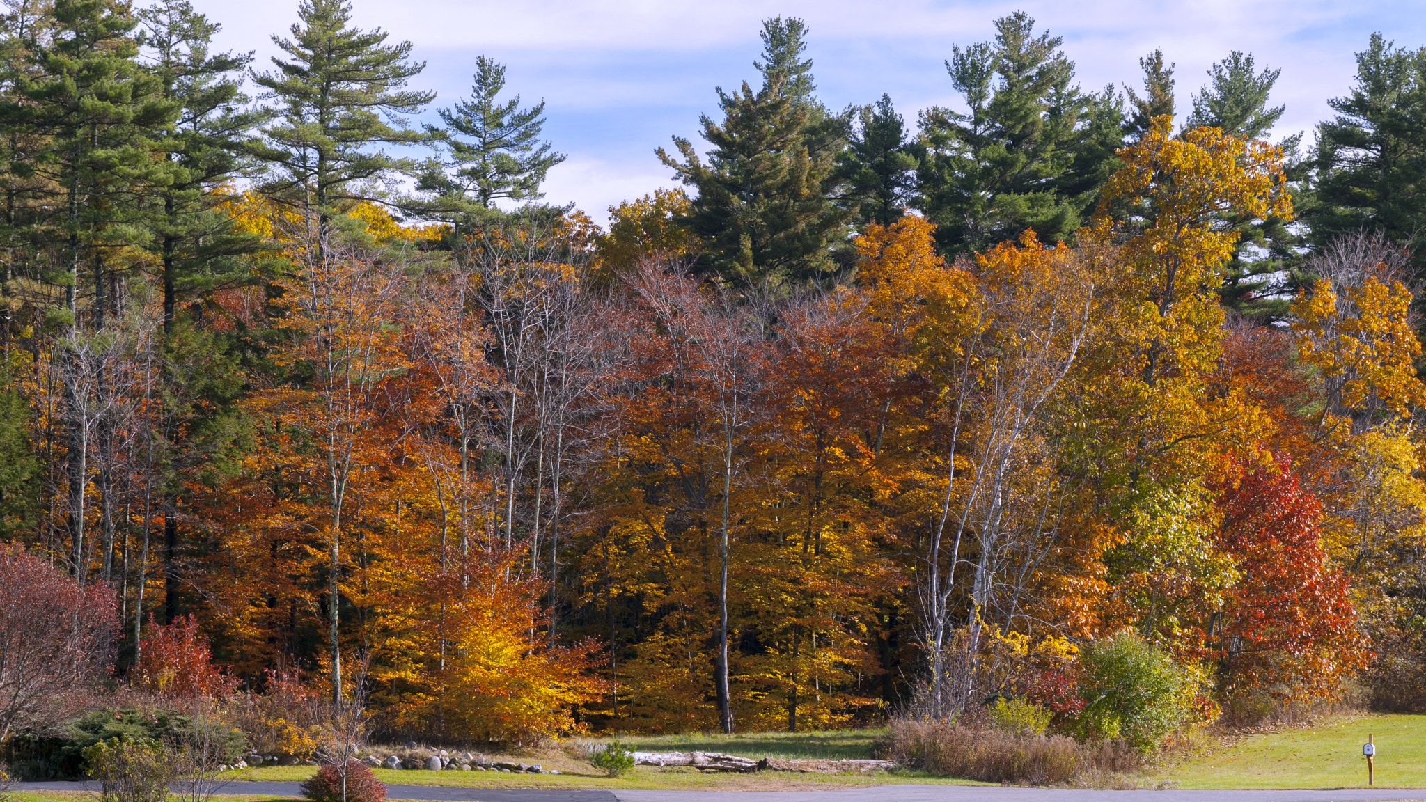 Nikon AF-S Nikkor 28-70mm F2.8 ED-IF sample photo. Thanksgiving photography