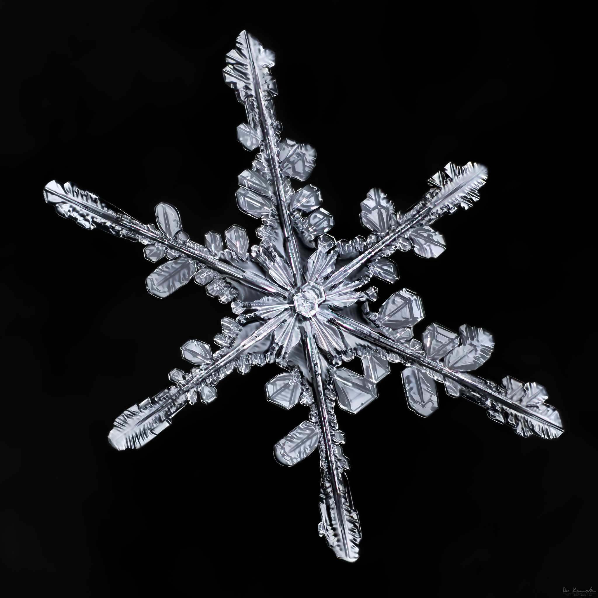 Canon MP-E 65mm F2.5 1-5x Macro Photo sample photo. Snowflake-a-day #39 photography