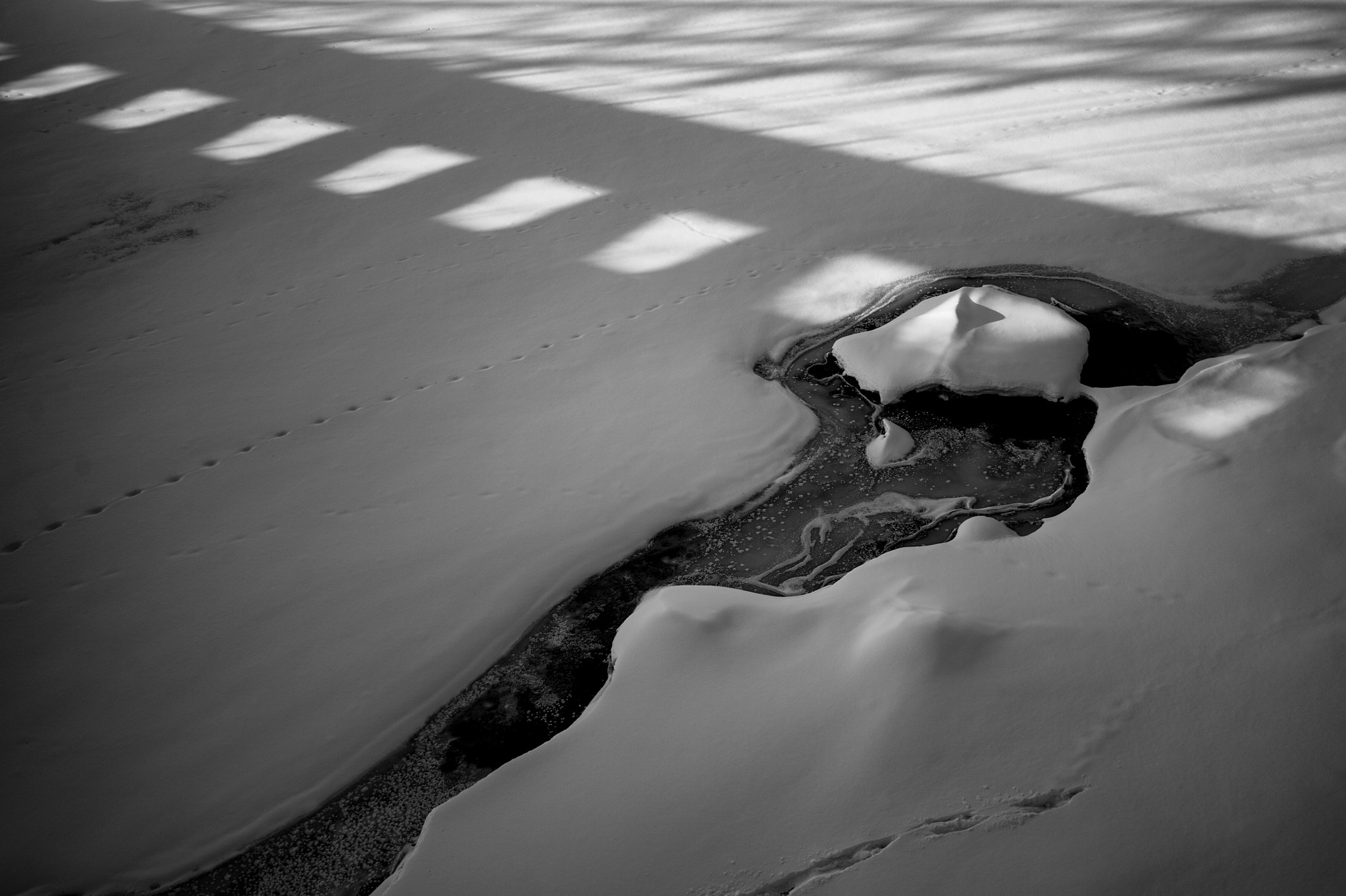 Nikon Df sample photo. Smooth winter jazz. photography