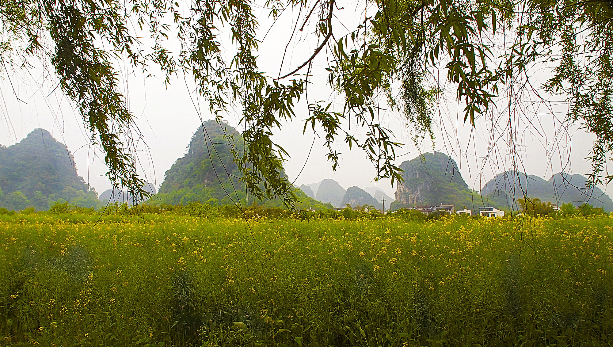 Olympus PEN E-PL2 sample photo. Quilin photography