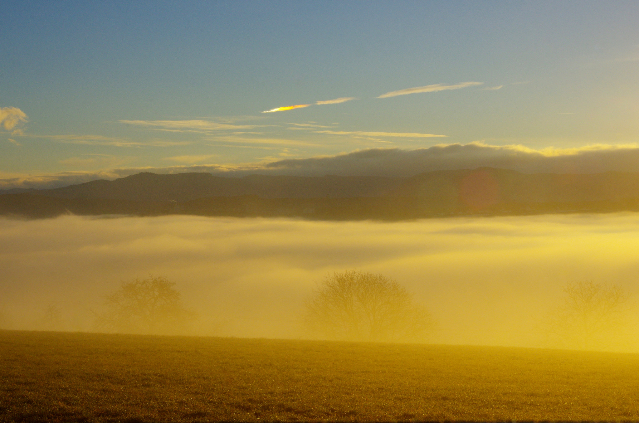 smc PENTAX-DA L 55-300mm F4-5.8 ED sample photo. Morning awakening photography