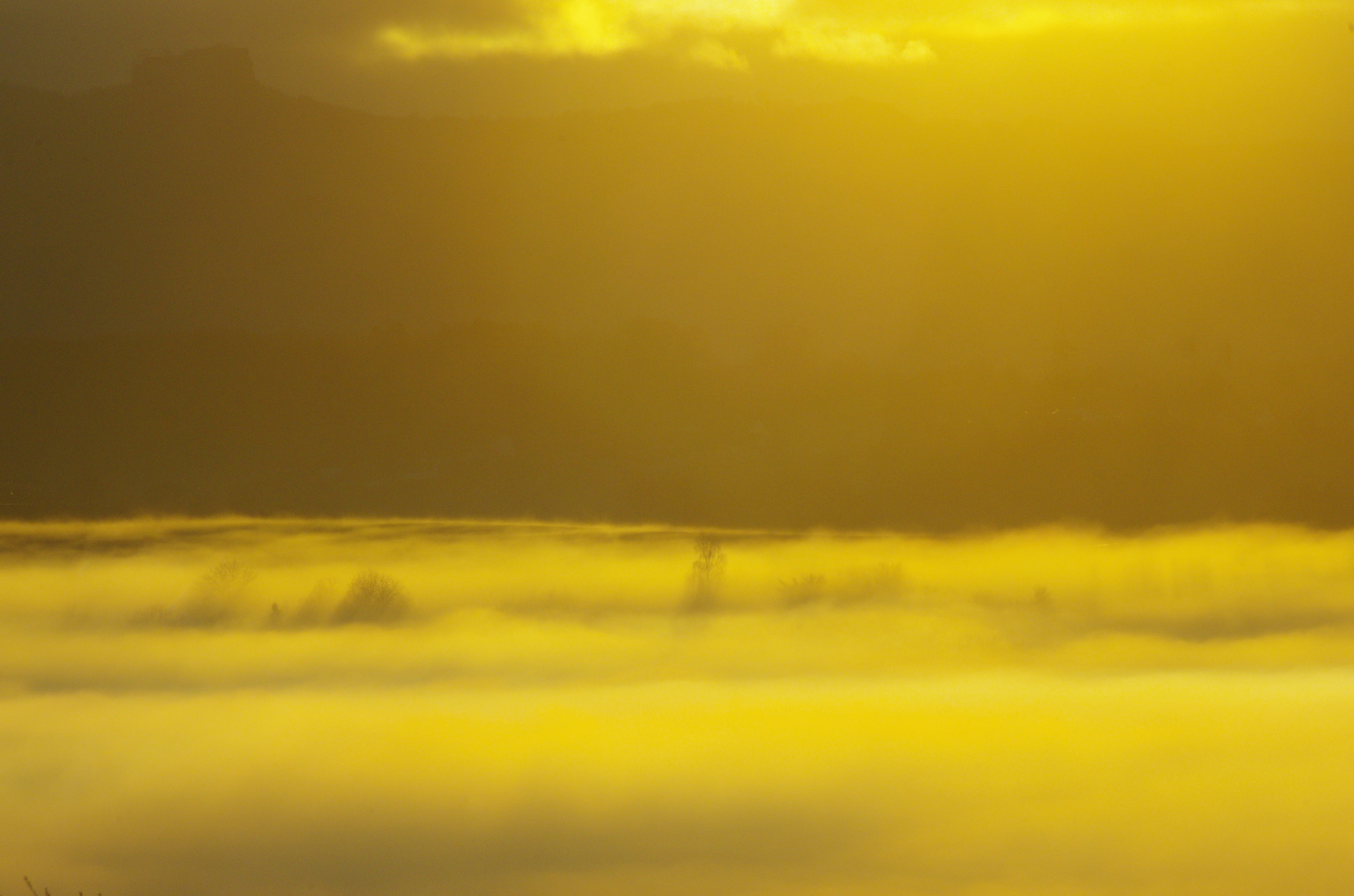 smc PENTAX-DA L 55-300mm F4-5.8 ED sample photo. Mystical morning - all wrapped in mist photography