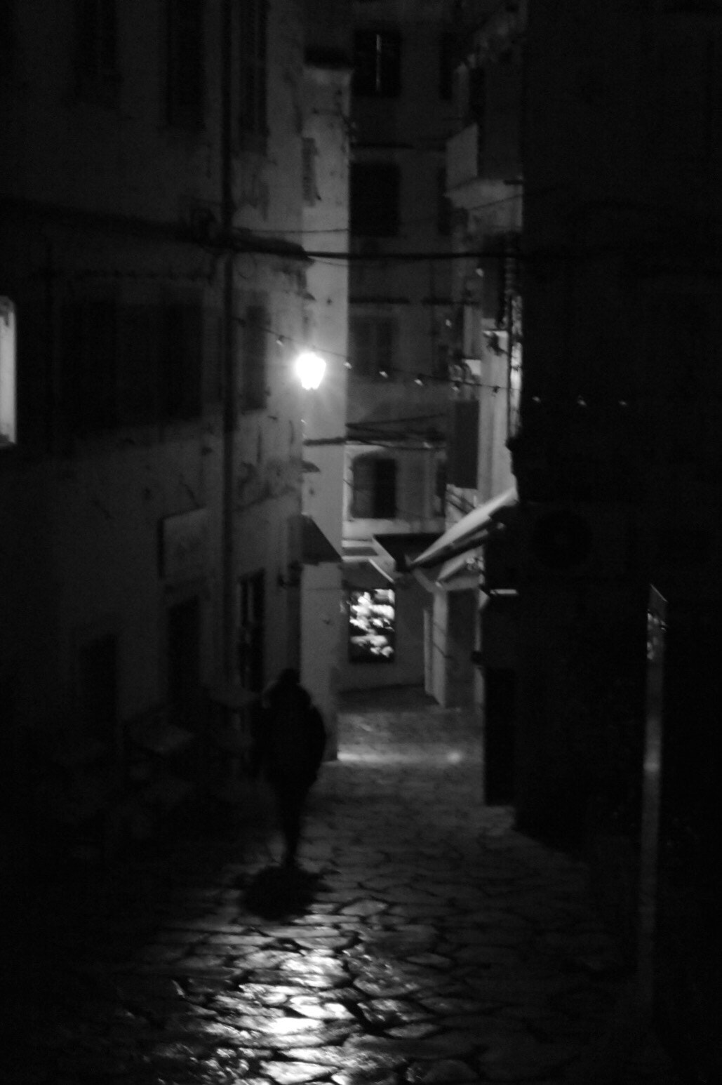 Nikon 1 S2 sample photo. Solitude photography