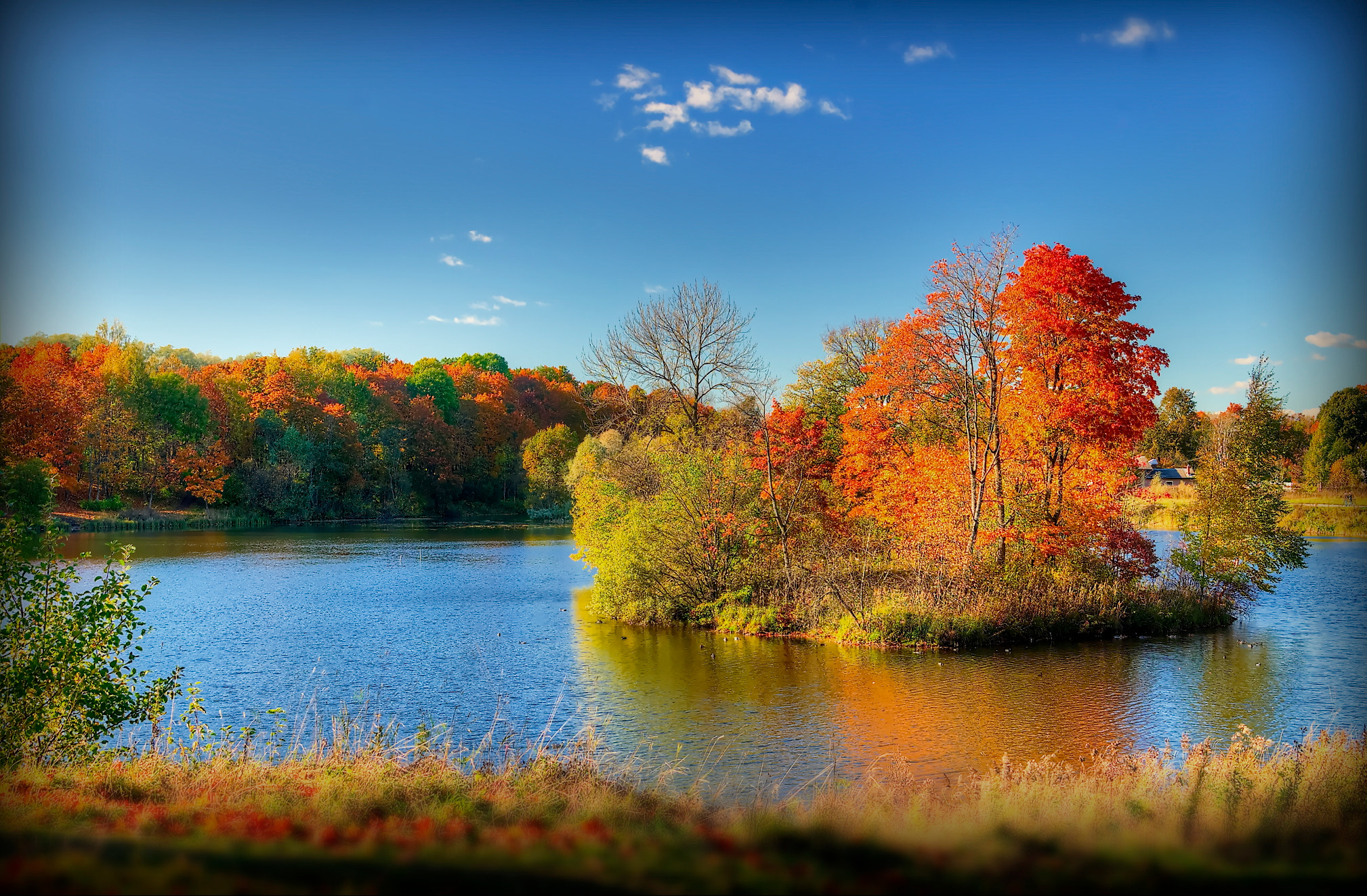 Pentax K-r + Tamron AF 28-75mm F2.8 XR Di LD Aspherical (IF) sample photo. Autumn in gatchina photography