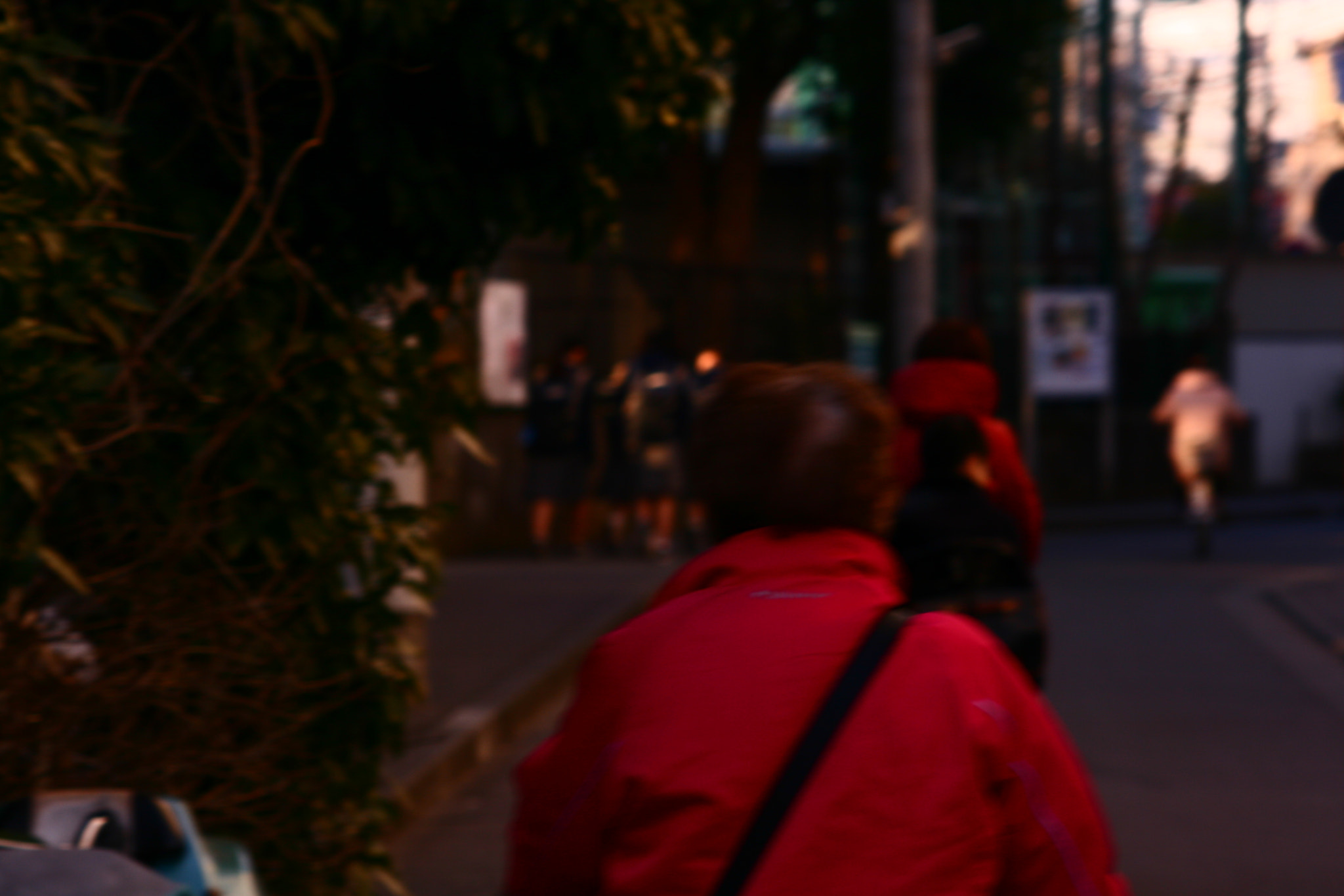 Canon EF 55-200mm F4.5-5.6 II USM sample photo. Passing photography