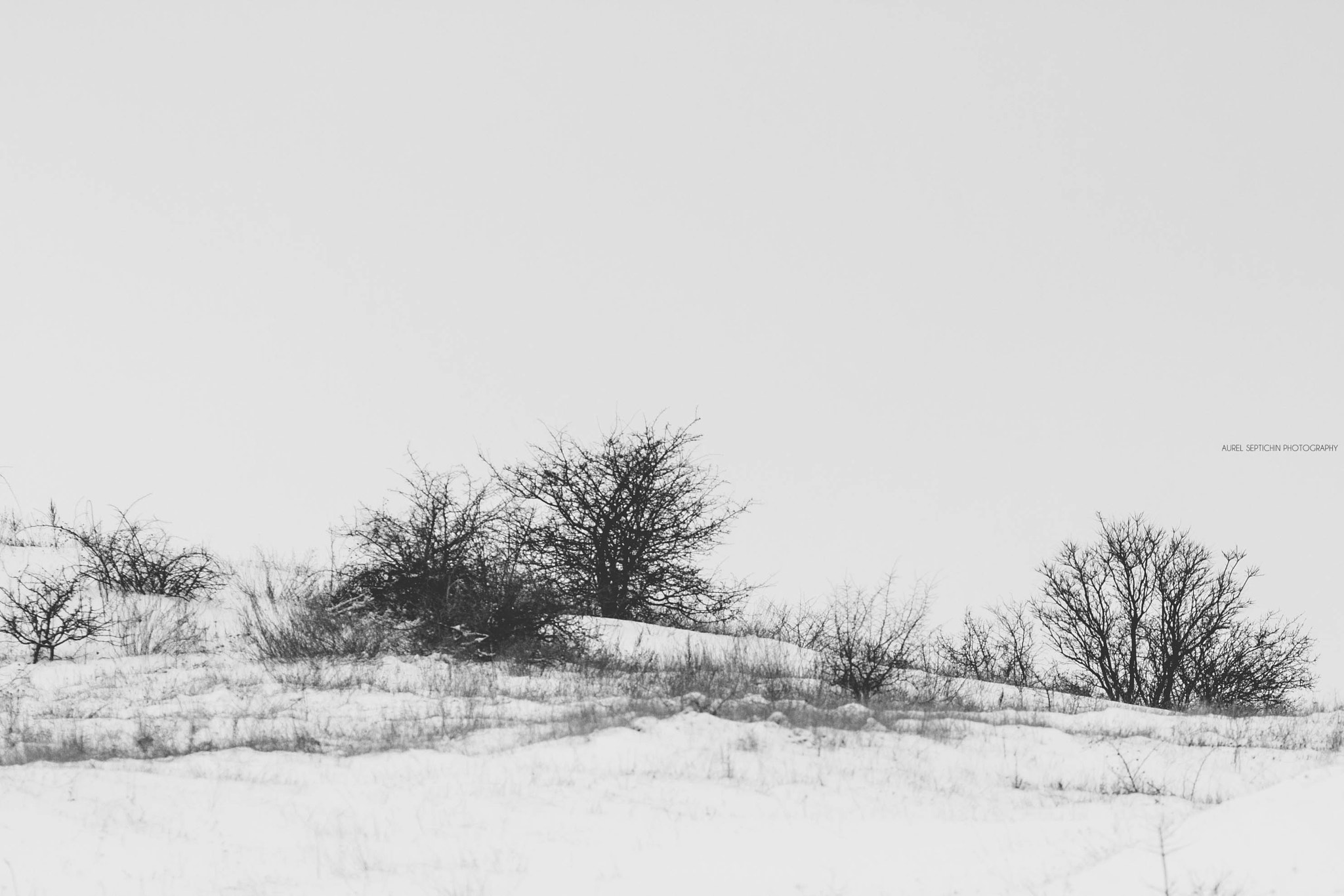 Canon EOS 1000D (EOS Digital Rebel XS / EOS Kiss F) + Canon EF 135mm F2L USM sample photo. Winter in moldova photography