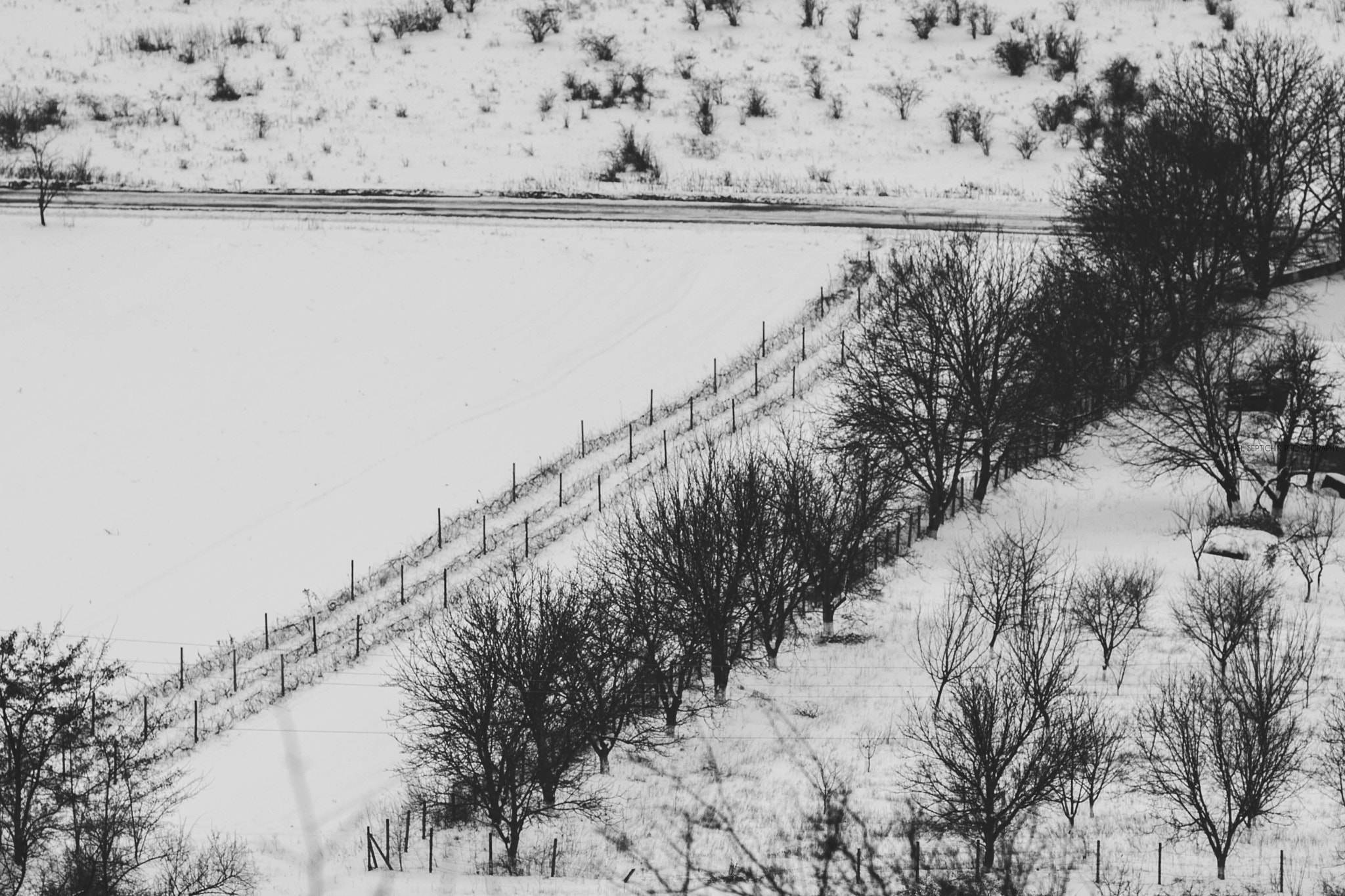 Canon EOS 1000D (EOS Digital Rebel XS / EOS Kiss F) + Canon EF 135mm F2L USM sample photo. Winter in moldova photography